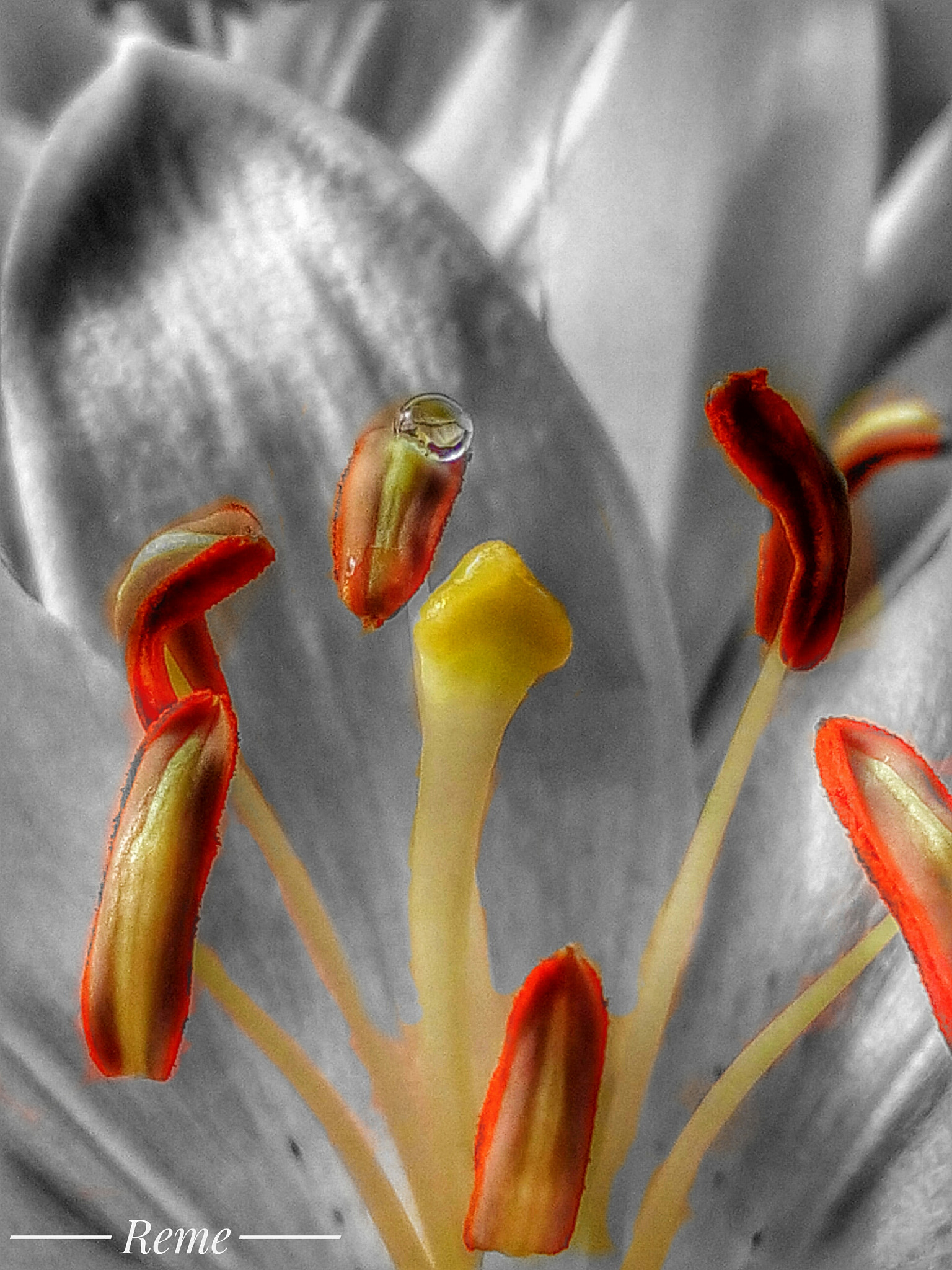 bq Aquaris E5 HD sample photo. Pinceladas de colores photography