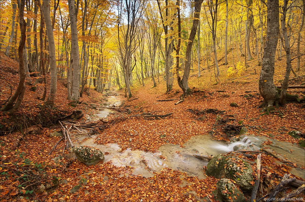 Pentax K-01 sample photo. Autumn nature landscape. photography