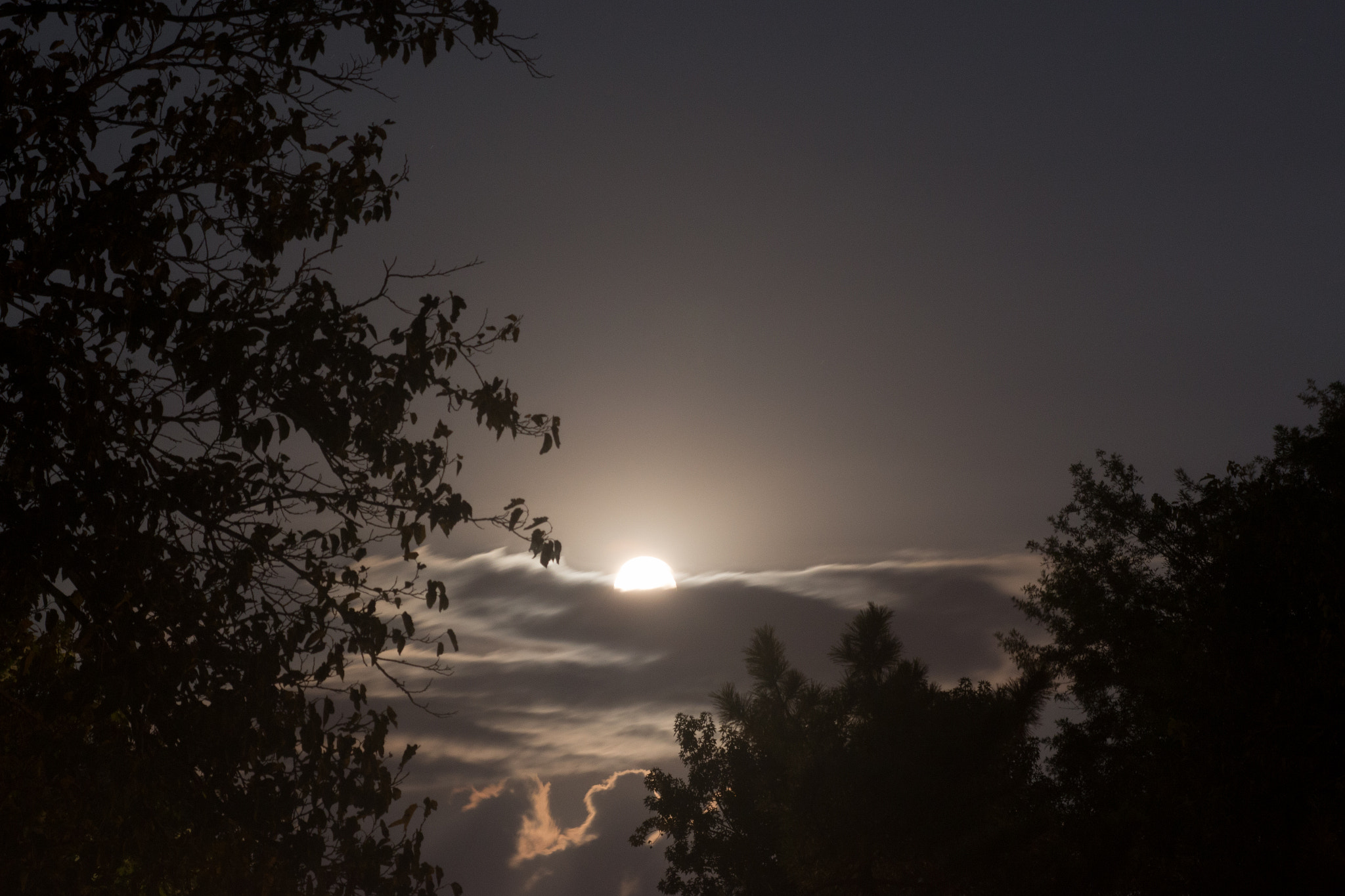 Canon EF 80-200mm F4.5-5.6 II sample photo. Harvest moon photography
