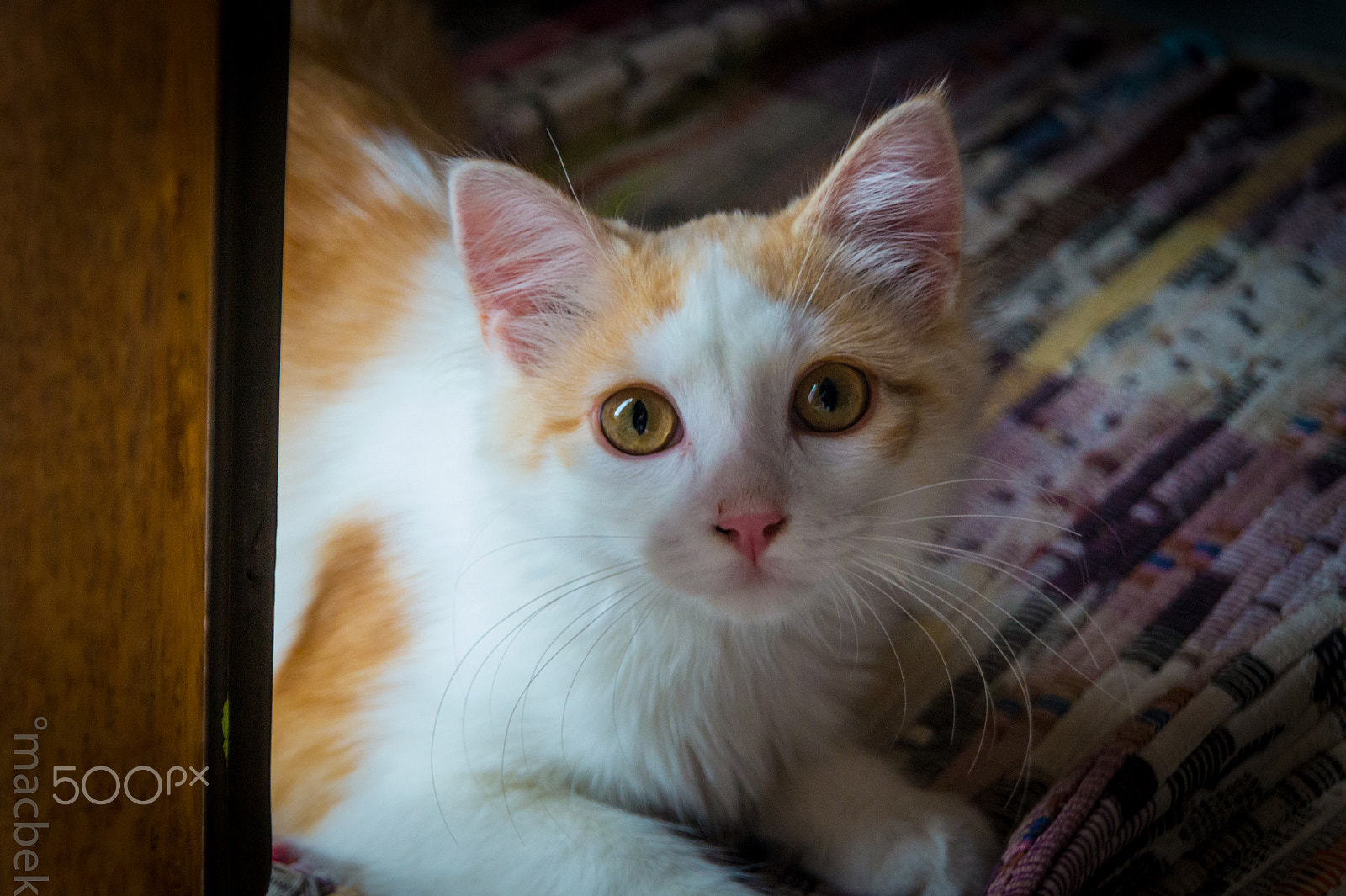 Tamron 18-270mm F3.5-6.3 Di II PZD sample photo. Gismofinal photography