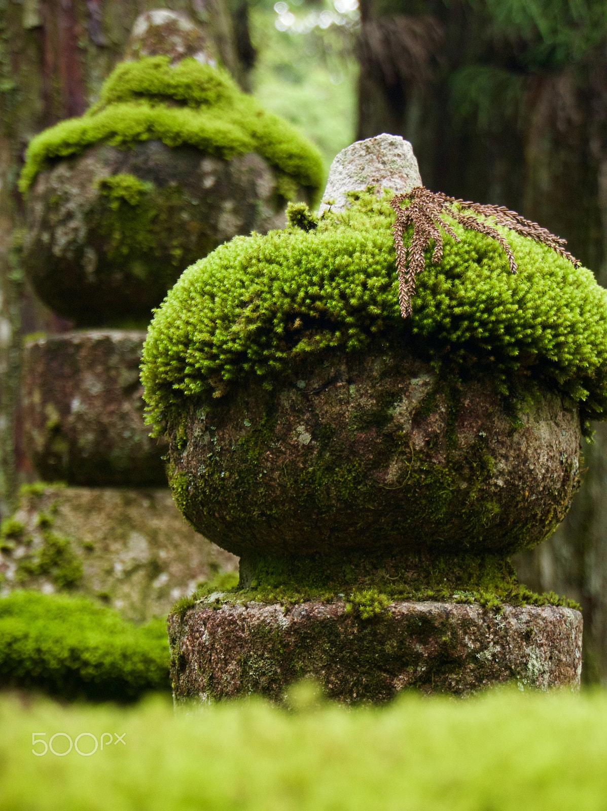 Sony E 18-55mm F3.5-5.6 OSS sample photo. Okunoin cemetery, koyasan photography