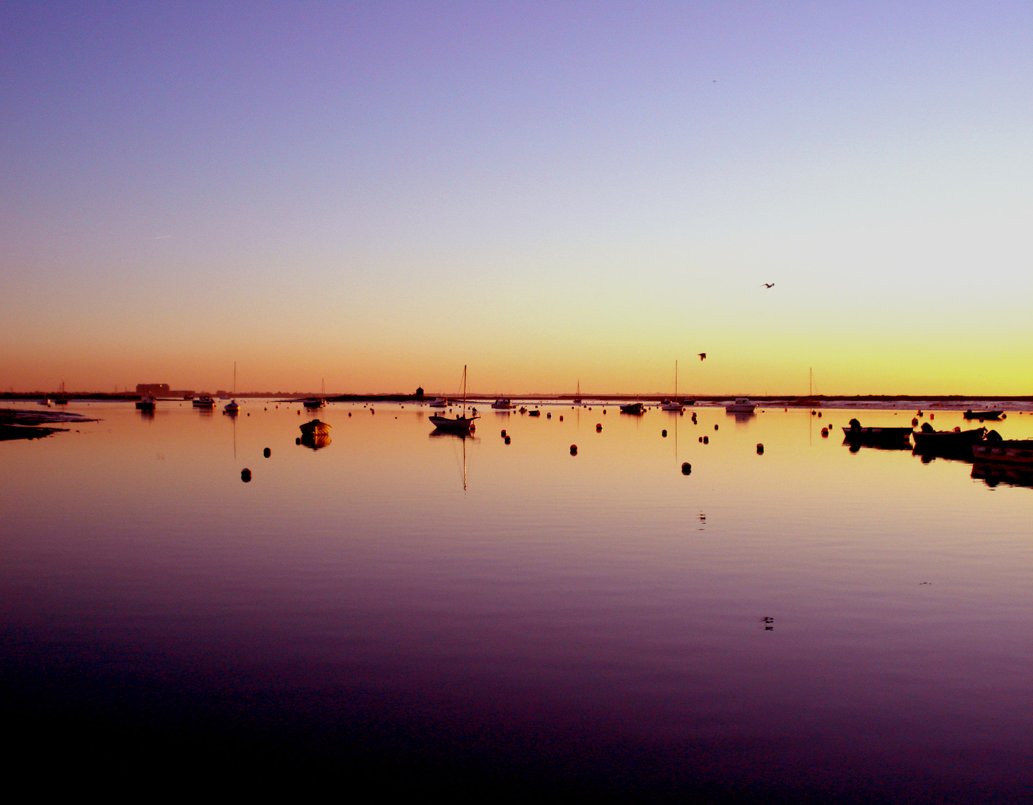 Sony DSC-W70 sample photo. Mersea sunset photography