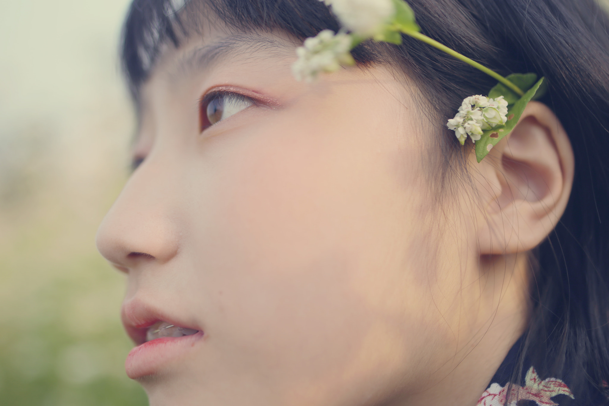 Tamron SP 35mm F1.8 Di VC USD sample photo