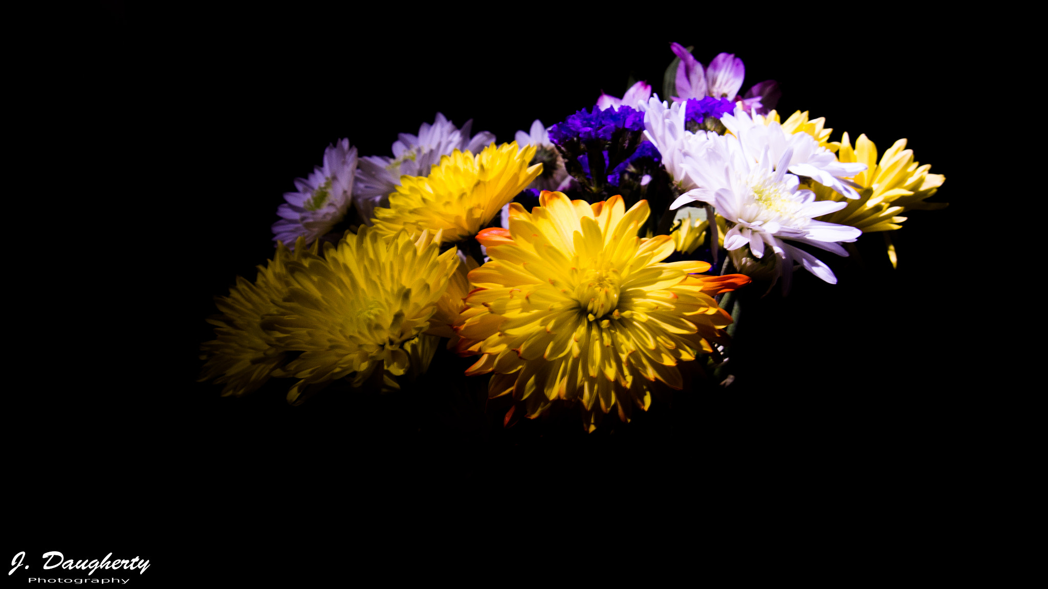 Olympus PEN E-PM2 sample photo. Fall arrangement photography
