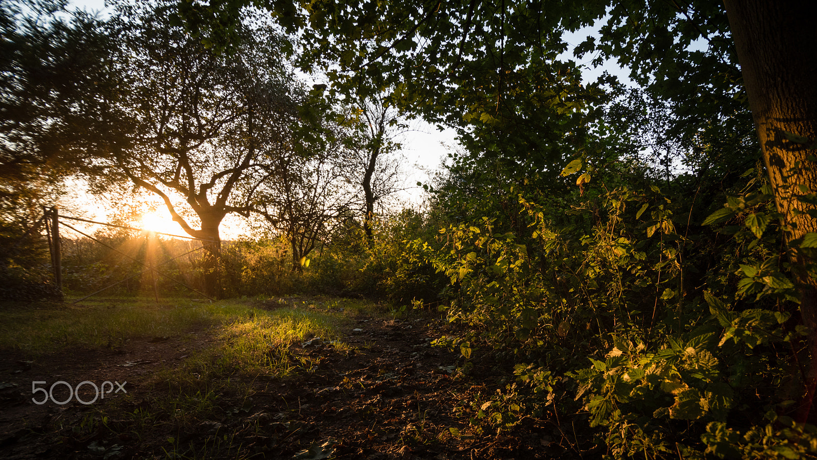 Tokina AT-X Pro 11-16mm F2.8 DX sample photo. Sunset photography