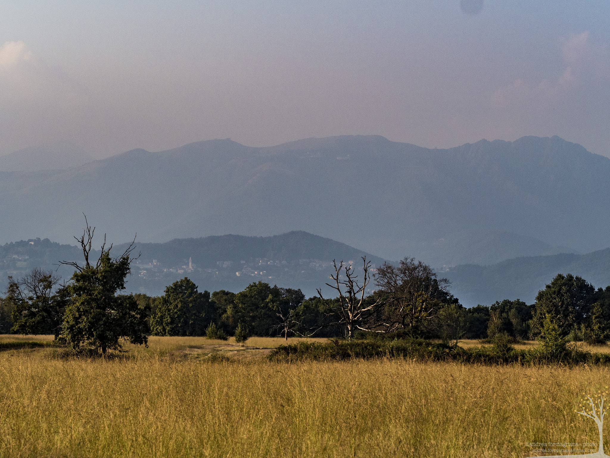 Olympus OM-D E-M5 II sample photo. Italian heath photography