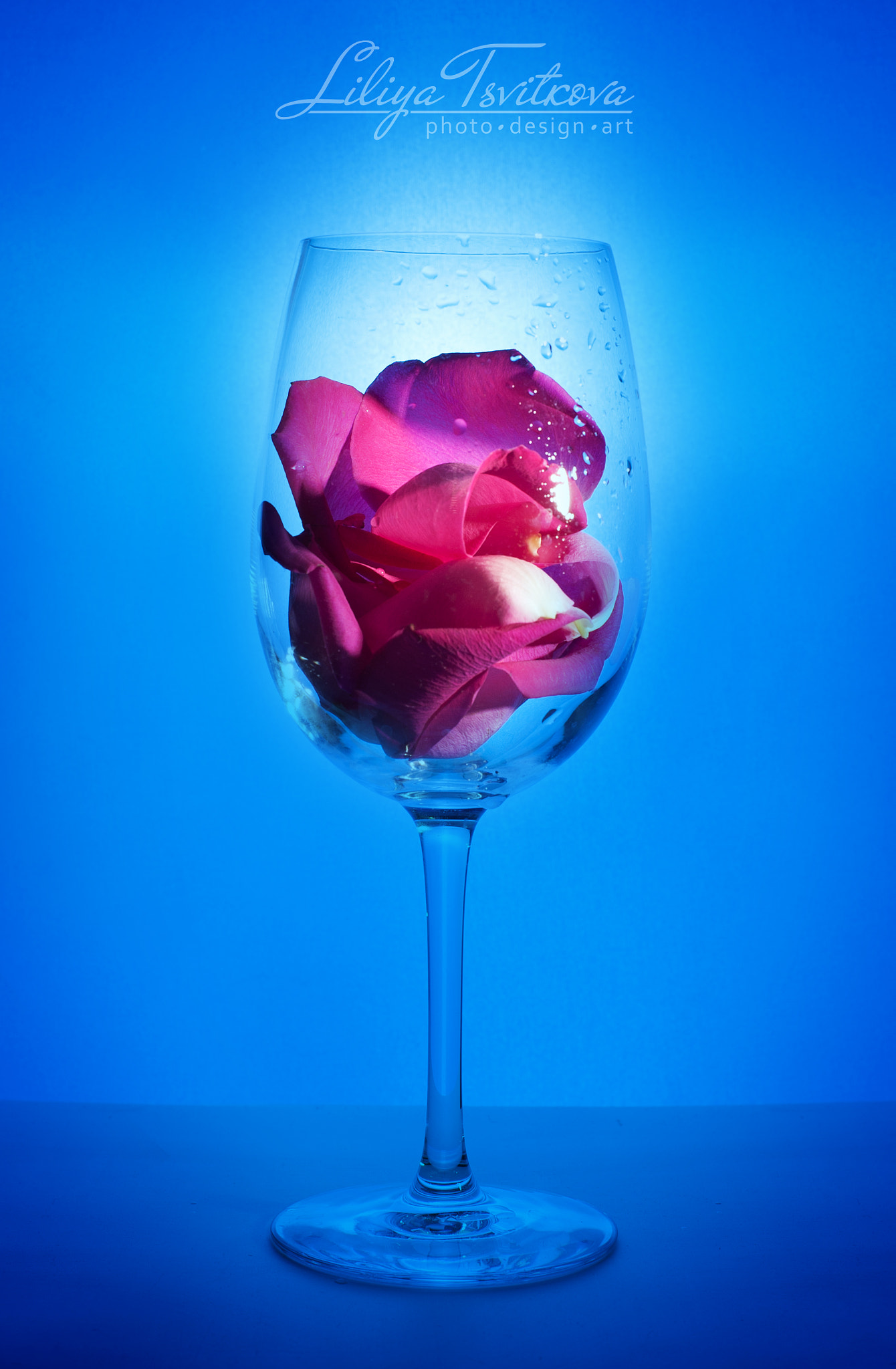 Nikon D700 sample photo. Rose petals photography