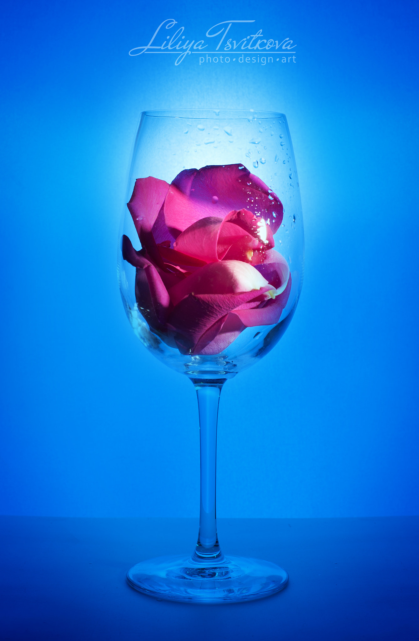 ZEISS Planar T* 50mm F1.4 sample photo. Rose petals photography