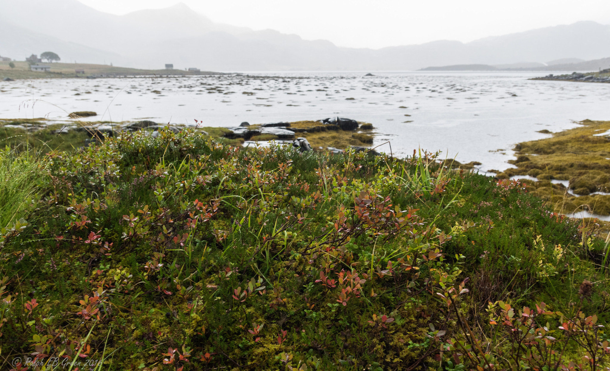Pentax K-3 II sample photo. A wet and grey day on lofoten photography