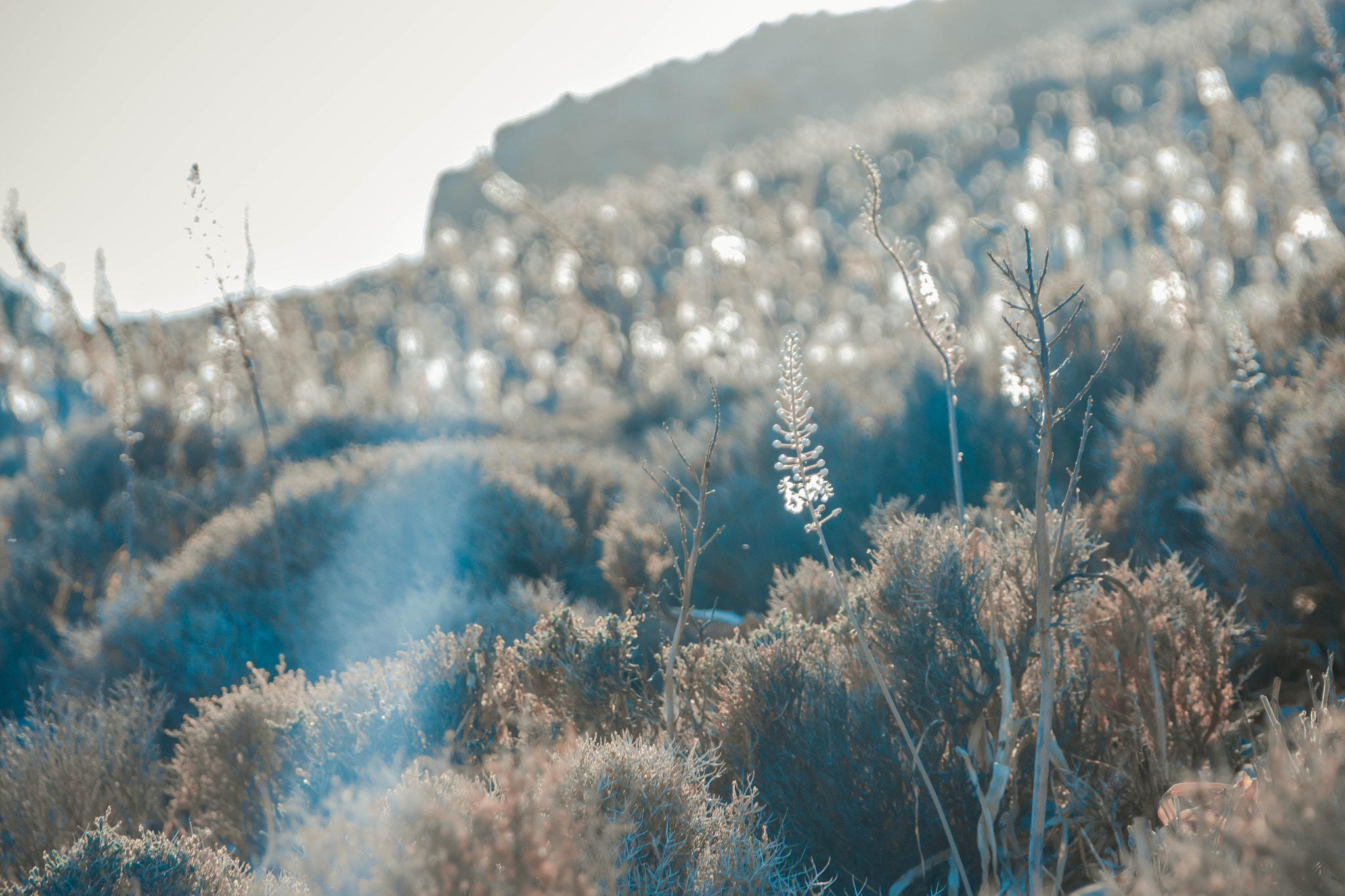 Sigma 18-125mm F3.8-5.6 DC OS HSM sample photo. Img photography