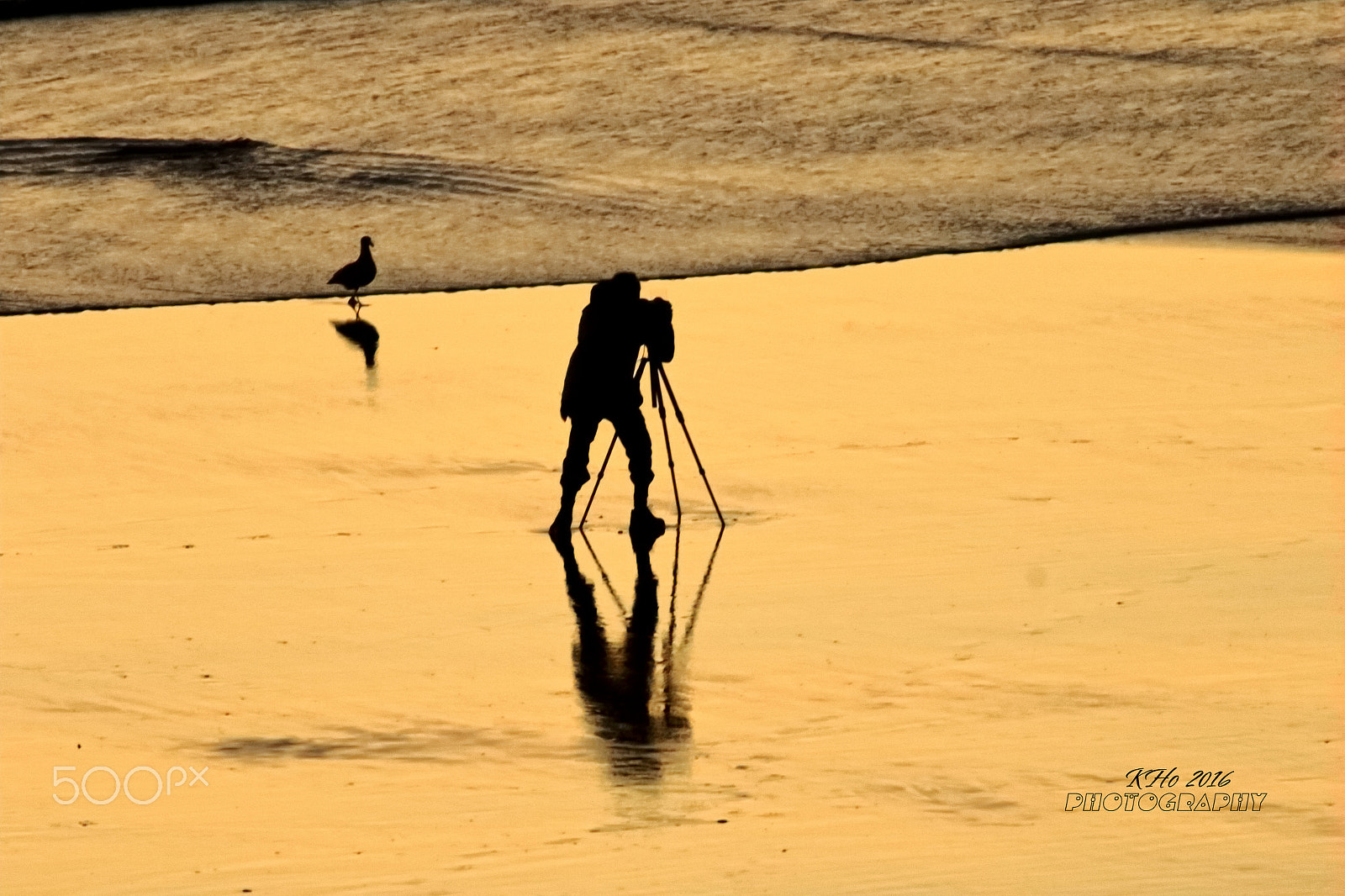 Canon EF 400mm F5.6L USM sample photo. Capturing the moment photography