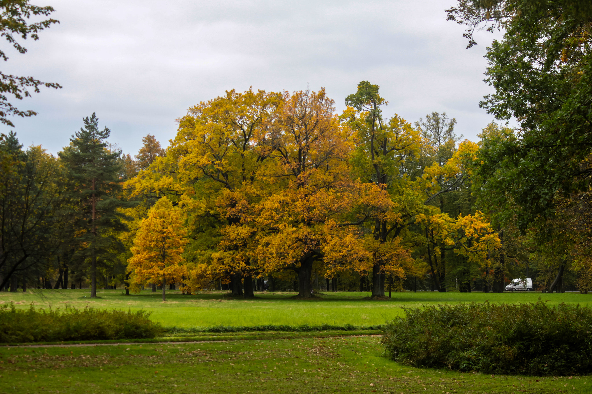 Canon EF-S 55-250mm F4-5.6 IS sample photo. Парк Александрия photography