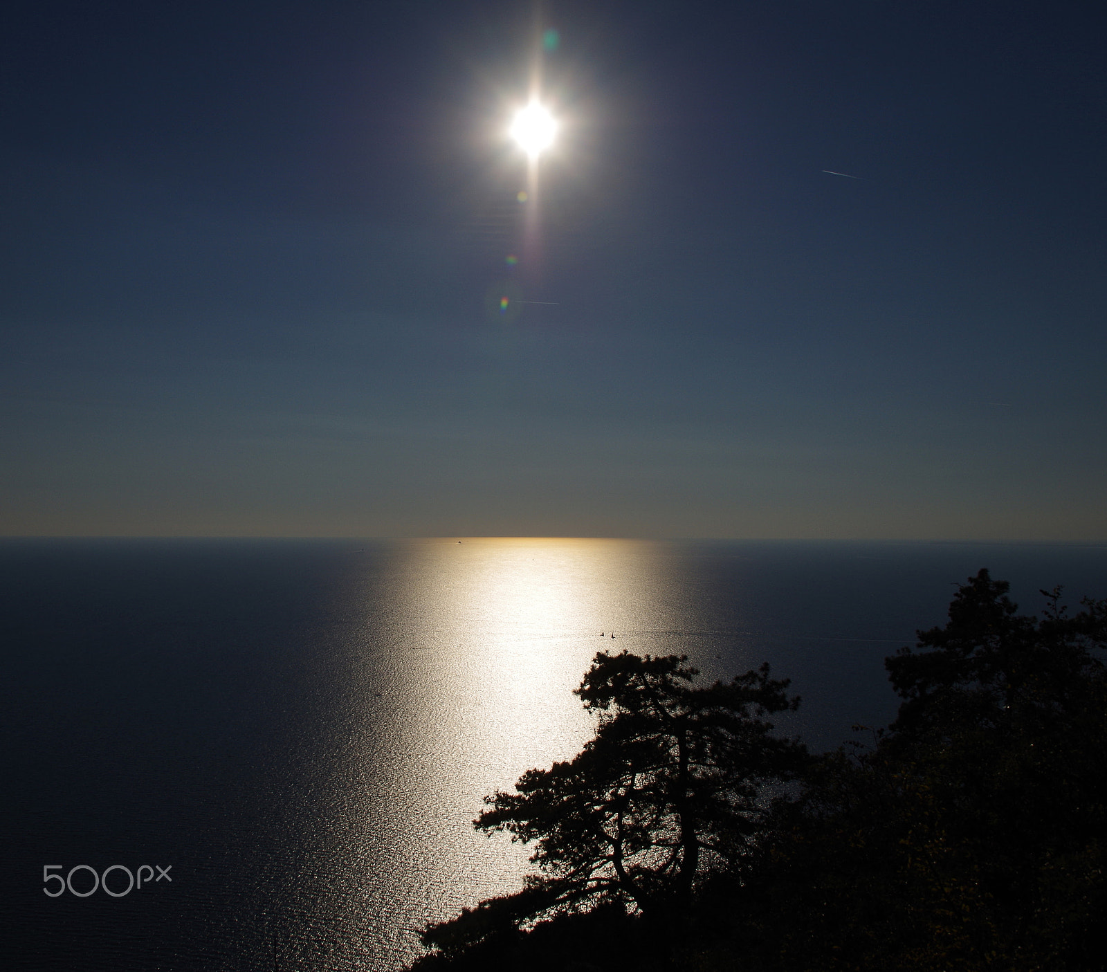 Sigma Lens (8 255) sample photo. Impression photography