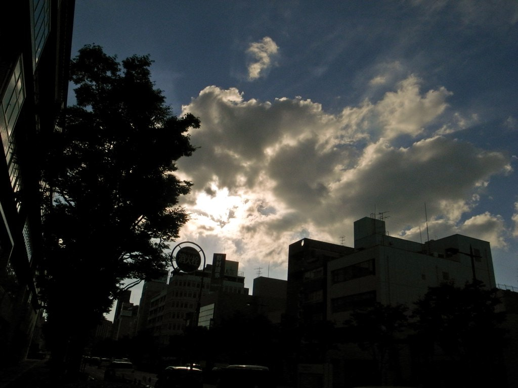 Ricoh GR DIGITAL 2 sample photo. 6115058589.jpg photography