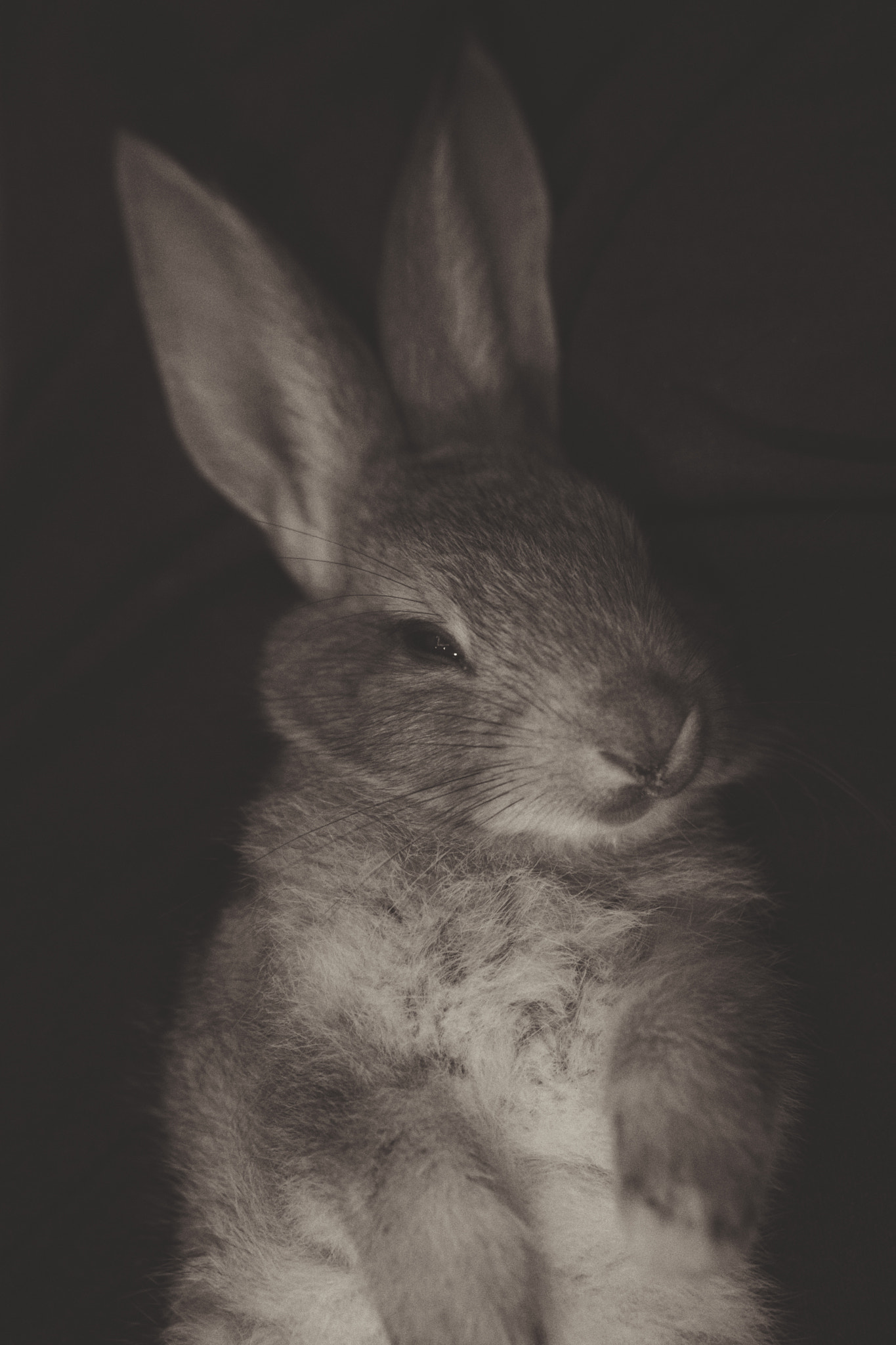 Sony PZ 300-1mm F0.0 OSS LE II sample photo. In a nap after fatigue photography