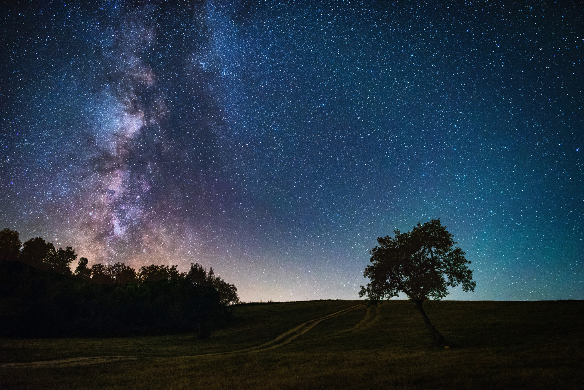 Nikon D750 + Samyang 12mm F2.8 ED AS NCS Fisheye sample photo. Lonely tree photography