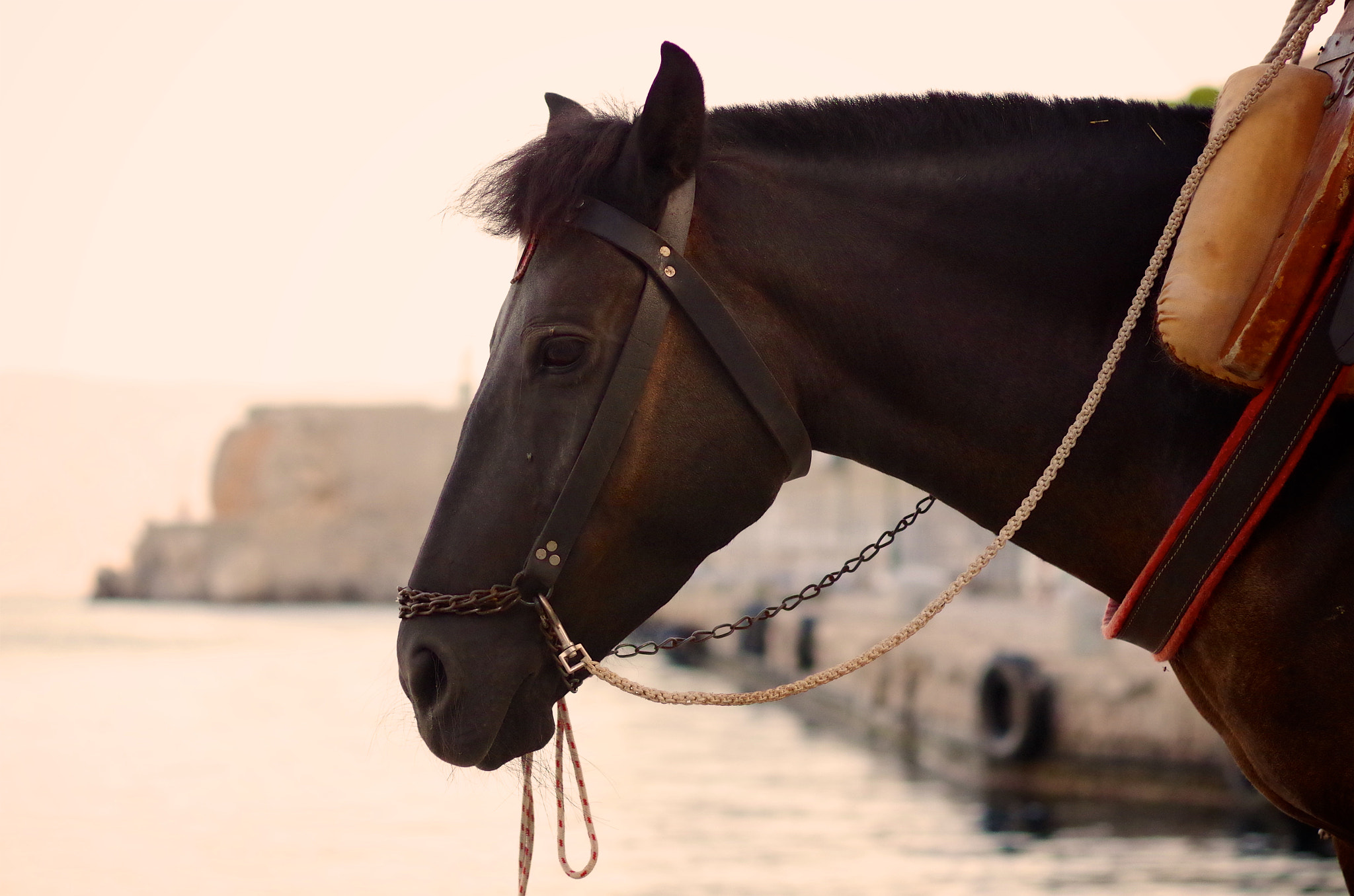 Pentax K-30 sample photo. Calm at dusk photography