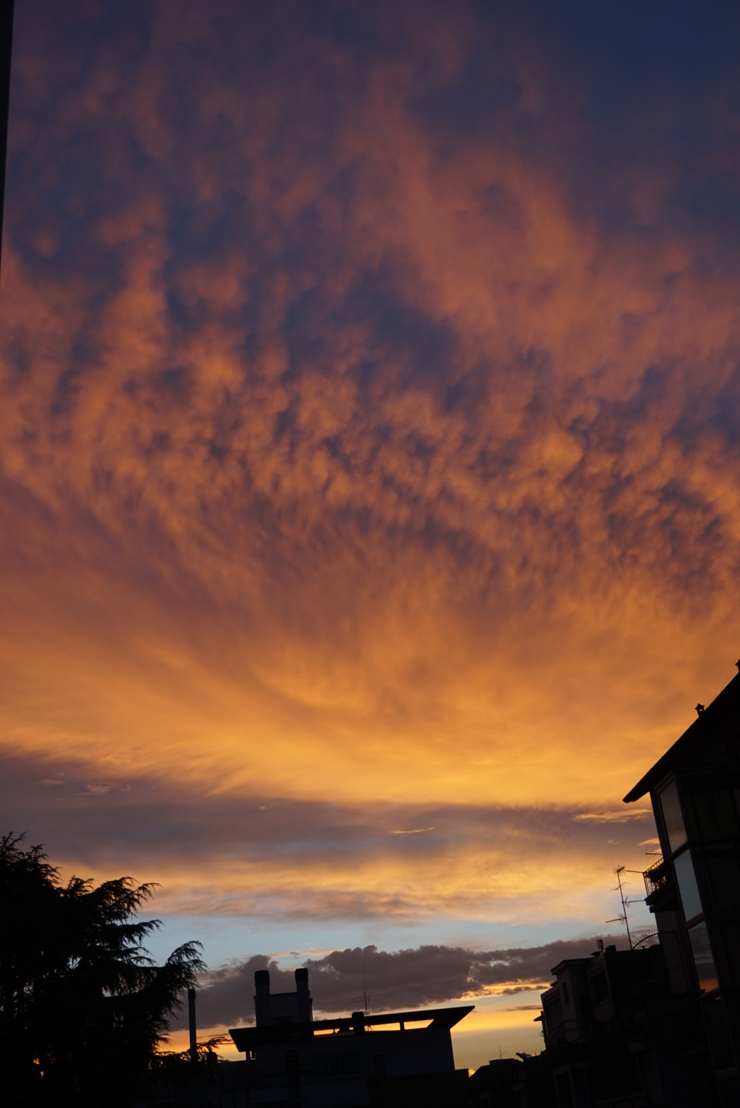 Sony Alpha QX1 sample photo. Beautiful sunset  photography