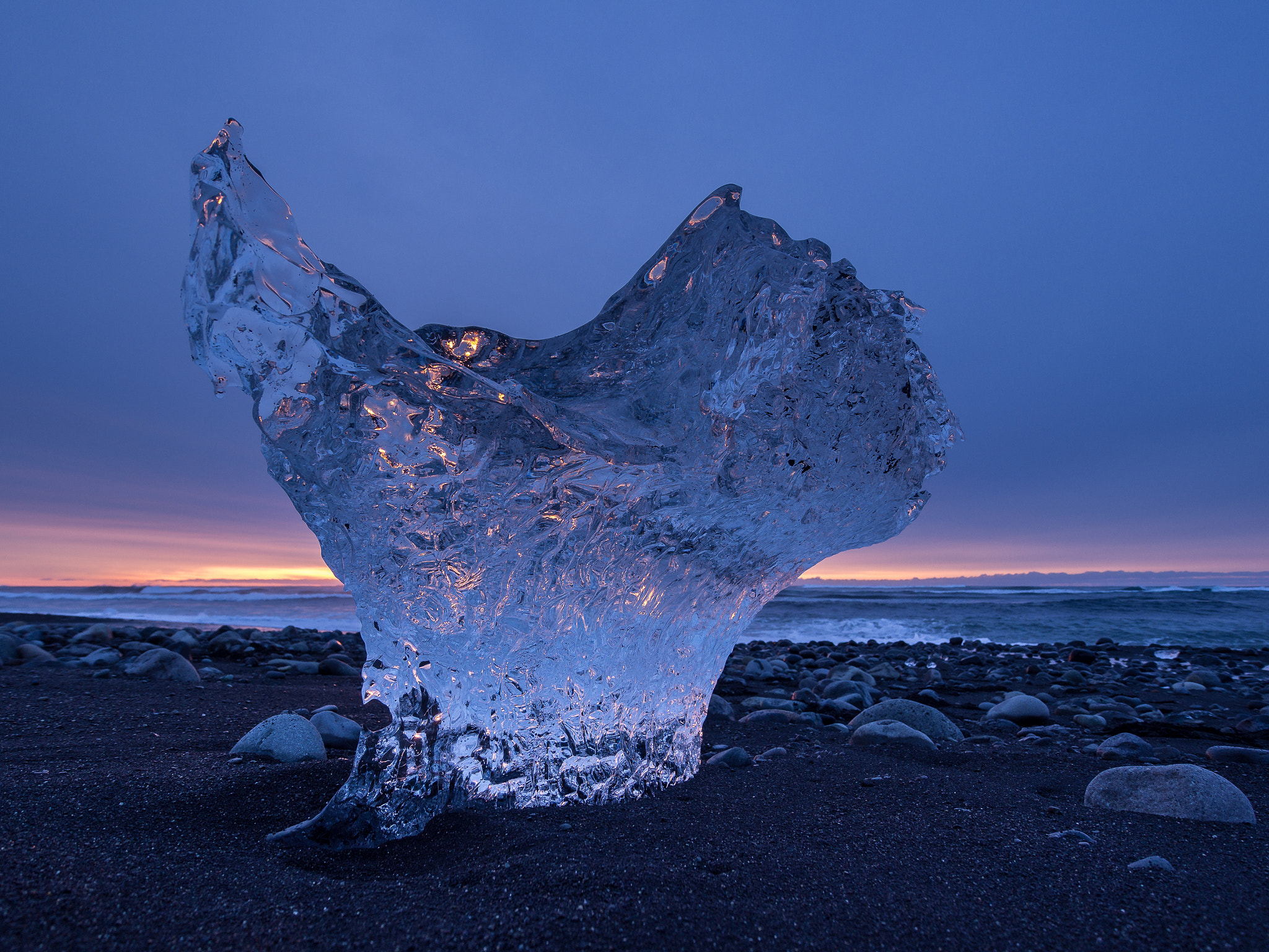 Olympus OM-D E-M5 sample photo. Ice wings photography