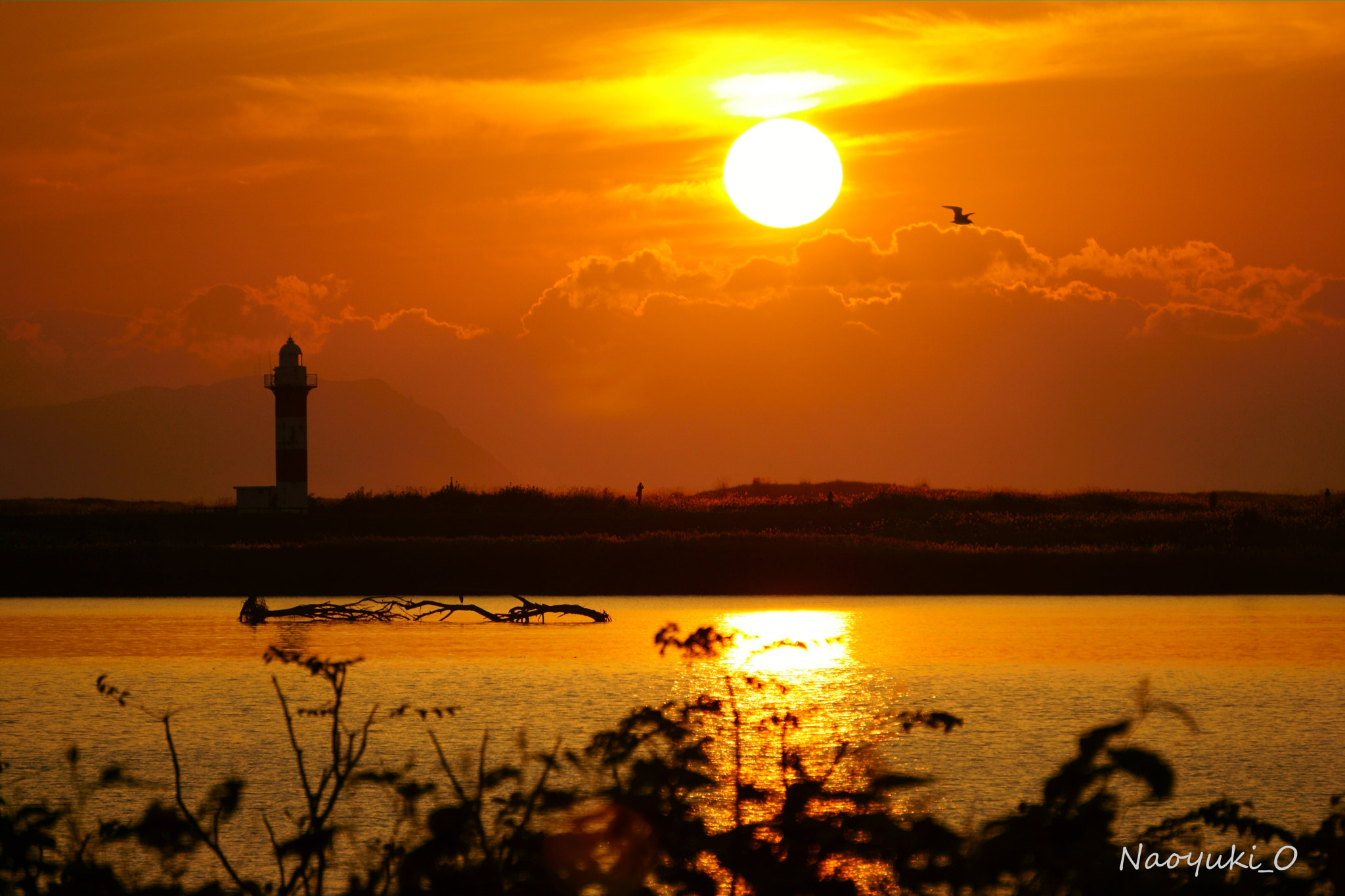 Sony a5100 sample photo. Sun set orange. photography