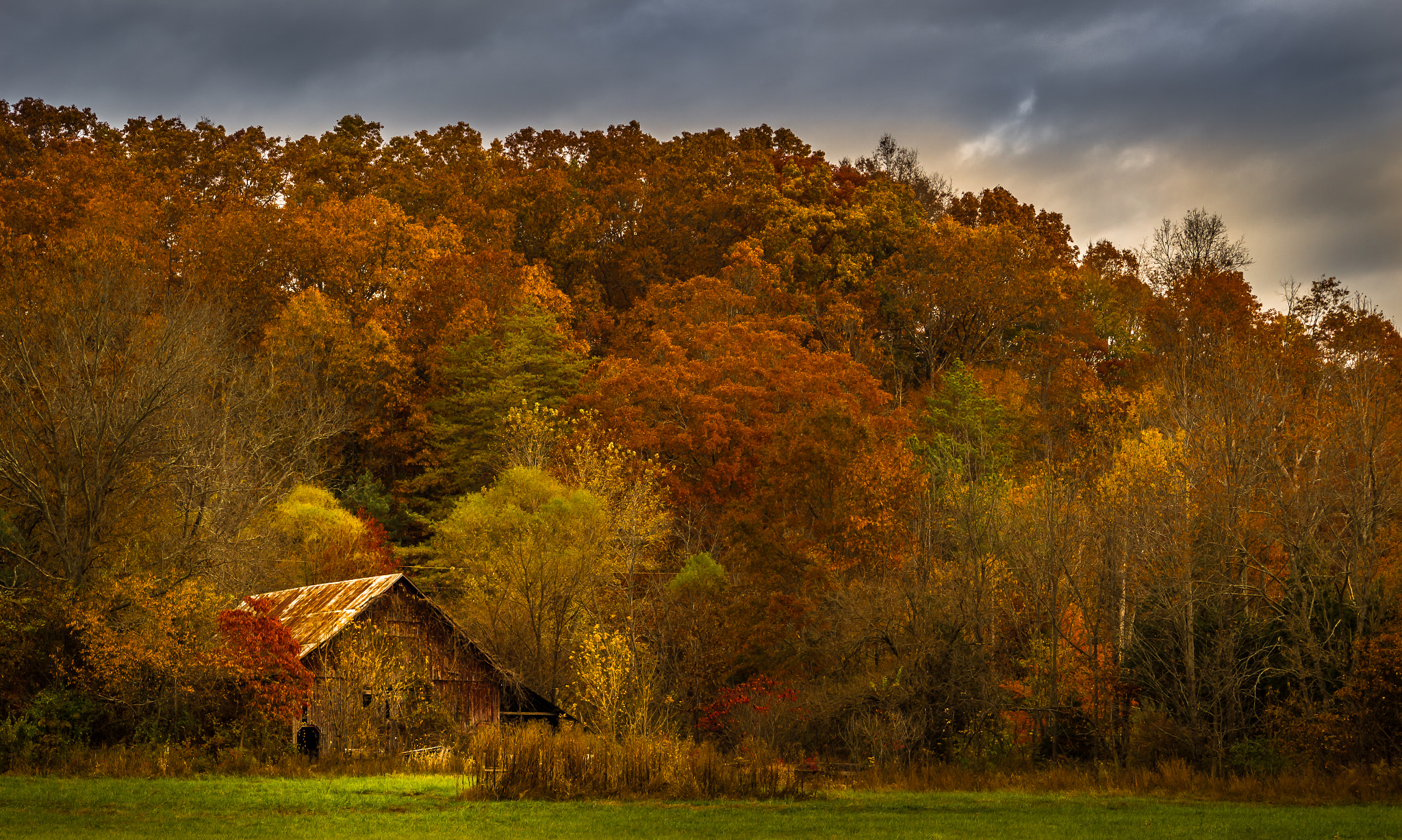 Canon EOS 100D (EOS Rebel SL1 / EOS Kiss X7) sample photo. Fall on the farm photography