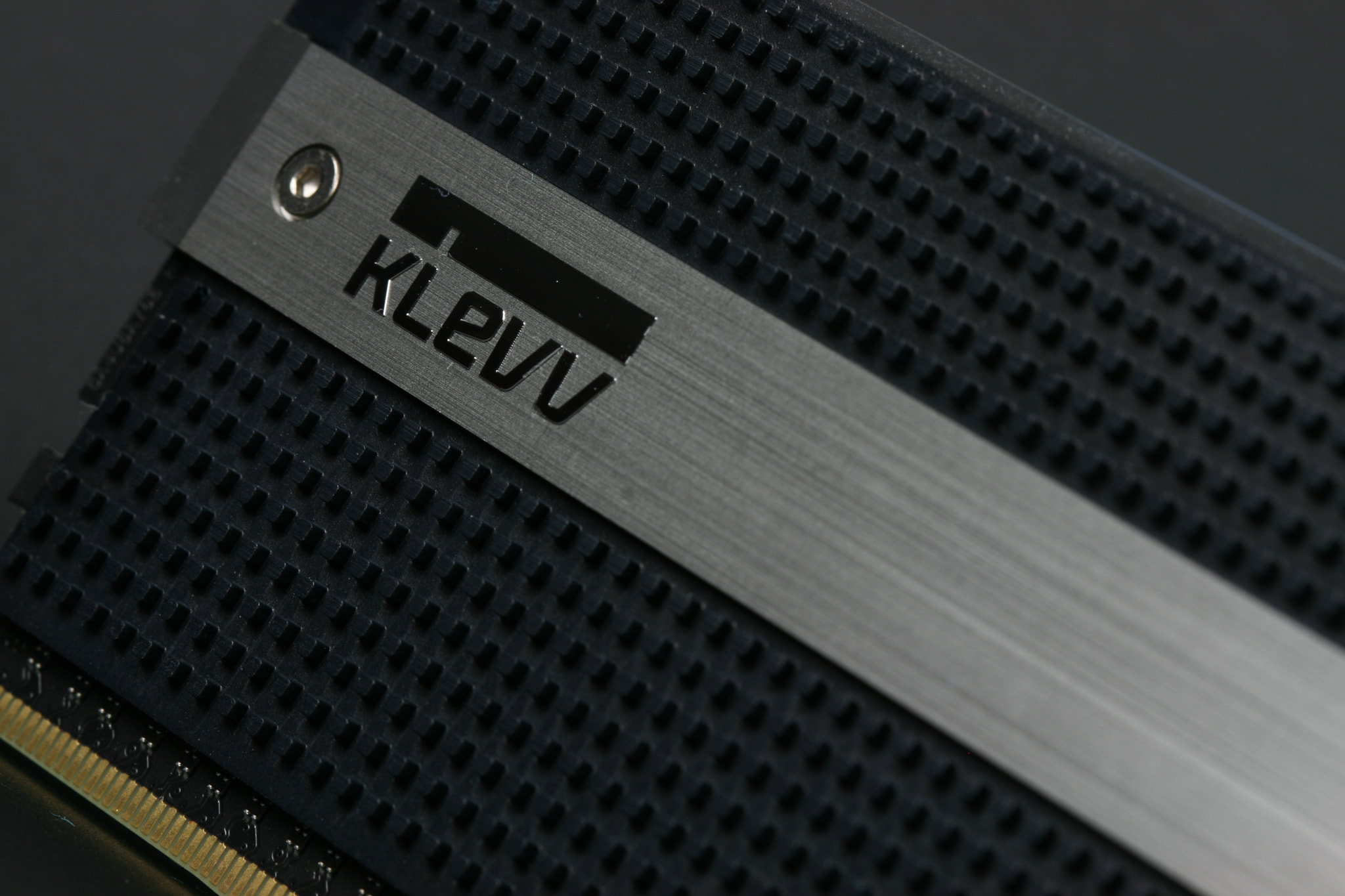 Canon EF 100mm F2.8 Macro USM sample photo. Klevv cras ddr4 macro photography