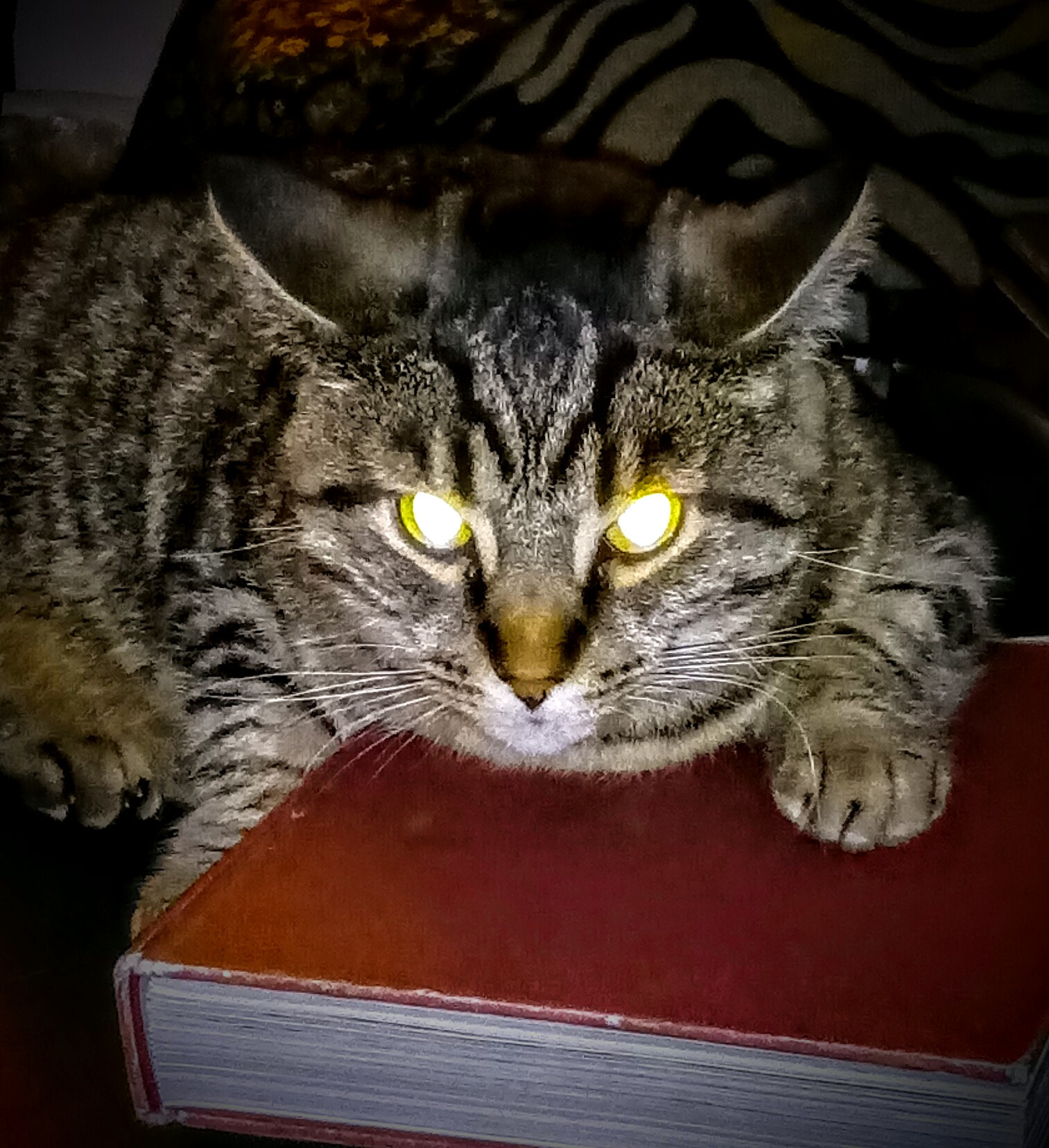 LG X POWER sample photo. Nightly reading photography