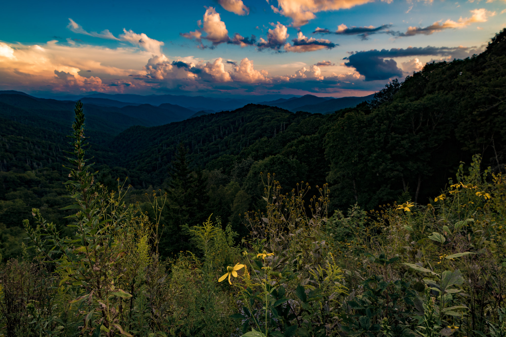 Nikon D810 + Nikon AF Nikkor 20mm F2.8D sample photo. Smoky mountains overlook 2 photography