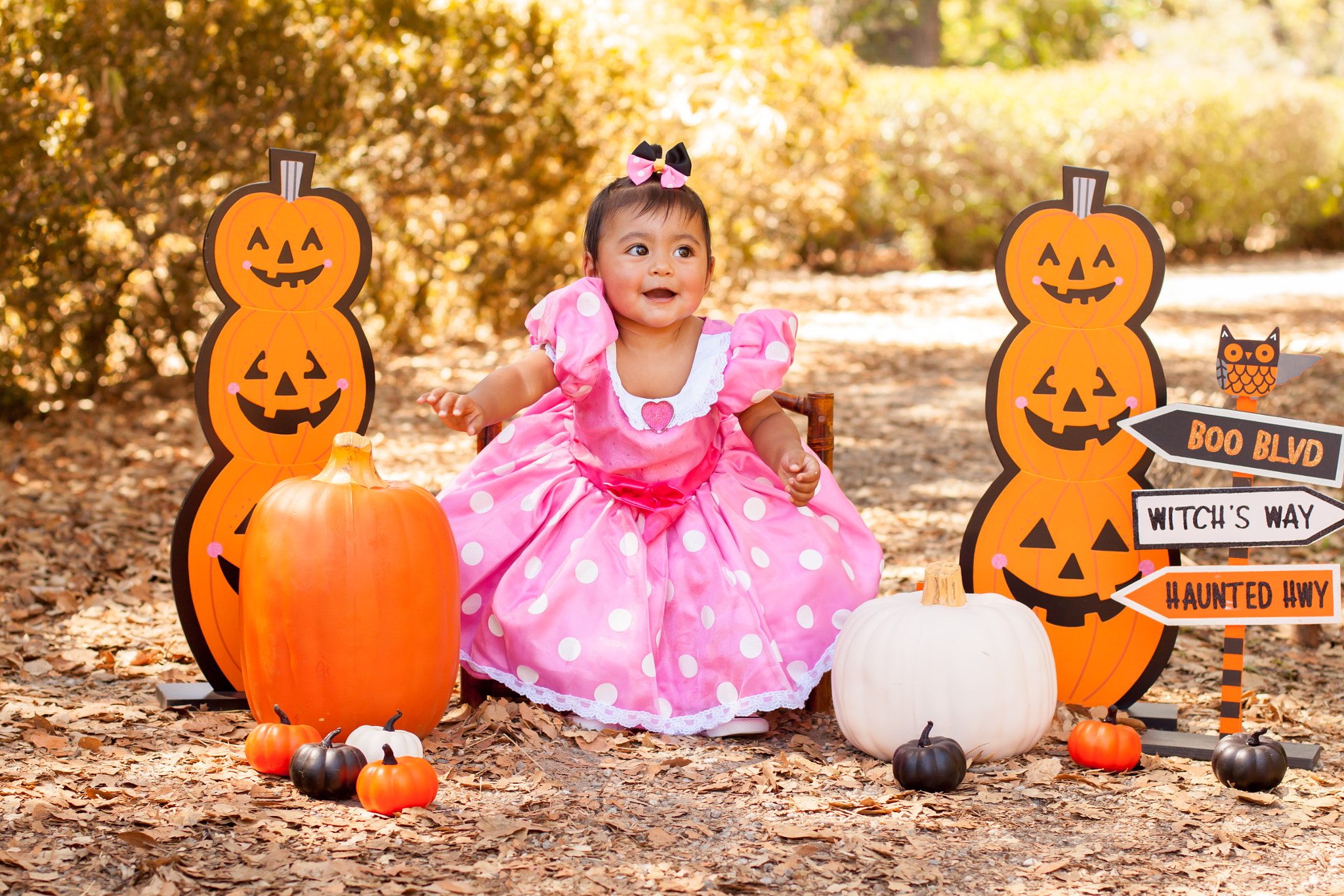 Canon EOS 500D (EOS Rebel T1i / EOS Kiss X3) sample photo. Halloween session photography
