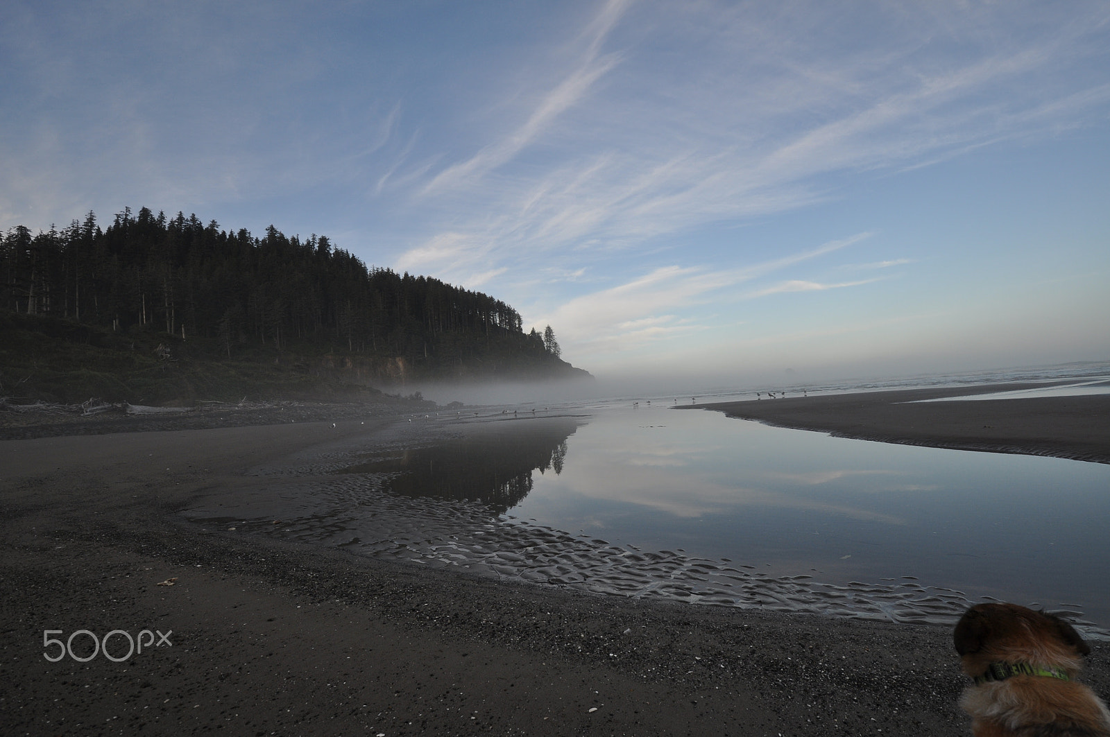 Nikon D5000 sample photo. Cape meares photography