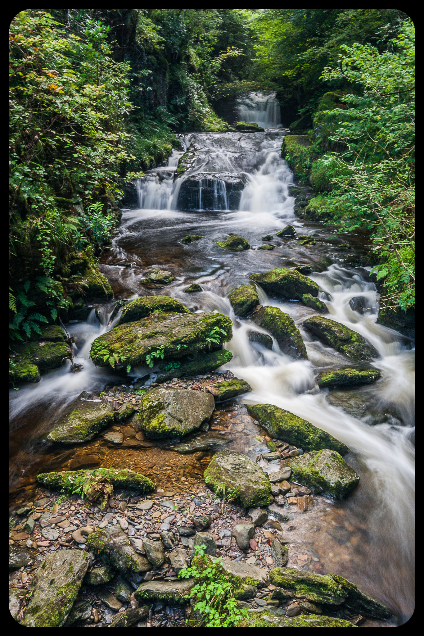 Canon EOS 1000D (EOS Digital Rebel XS / EOS Kiss F) sample photo. Exmoor national park photography