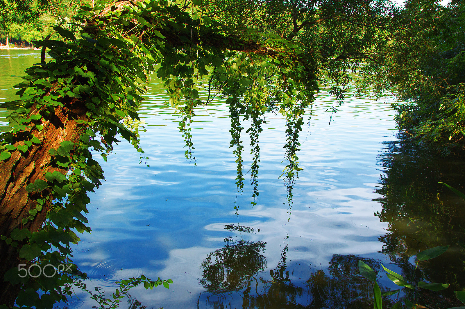 Canon EOS 650D (EOS Rebel T4i / EOS Kiss X6i) sample photo. Lake photography