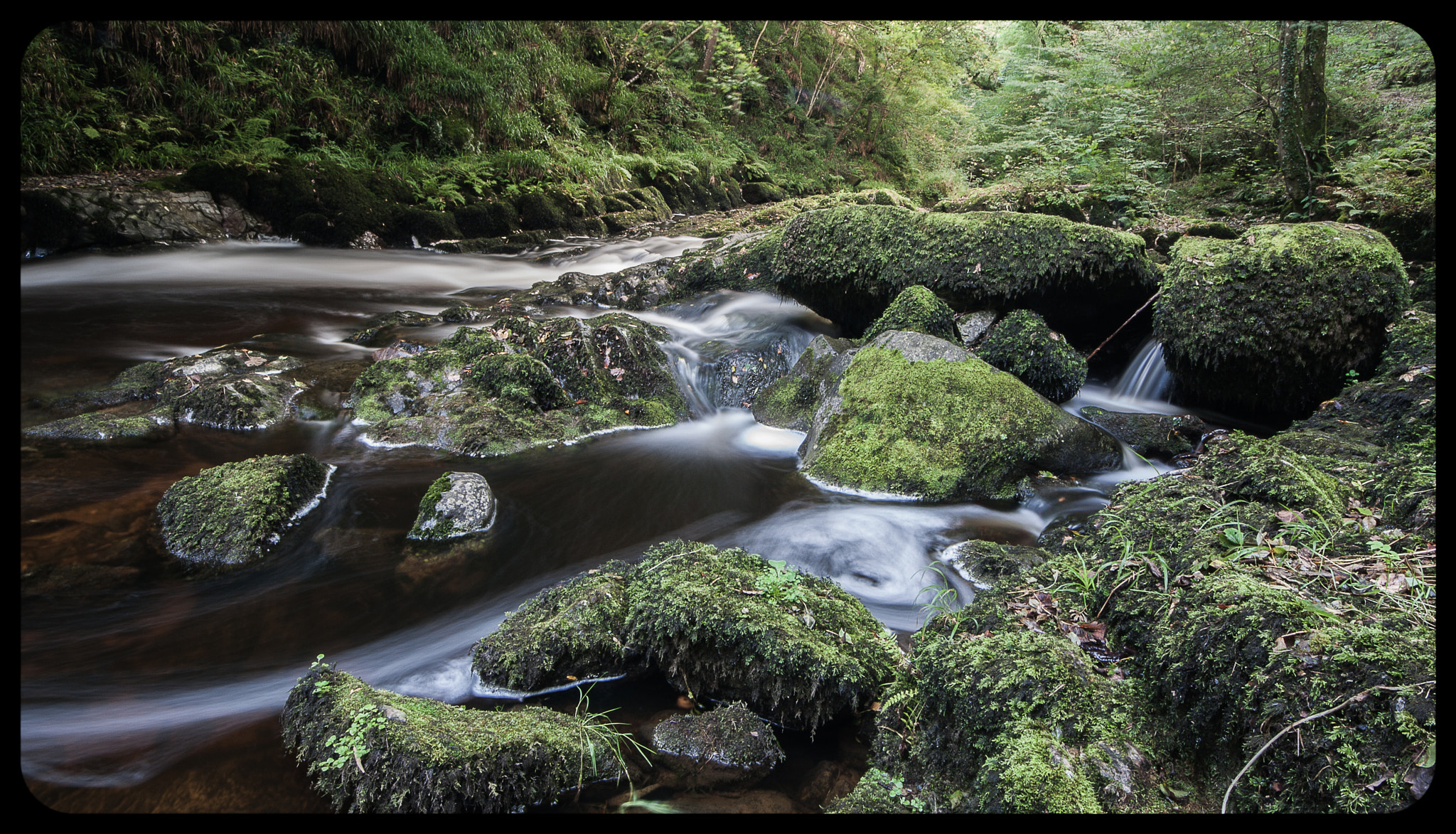 Canon EOS 1000D (EOS Digital Rebel XS / EOS Kiss F) + Sigma 10-20mm F4-5.6 EX DC HSM sample photo. Exmoor national park photography