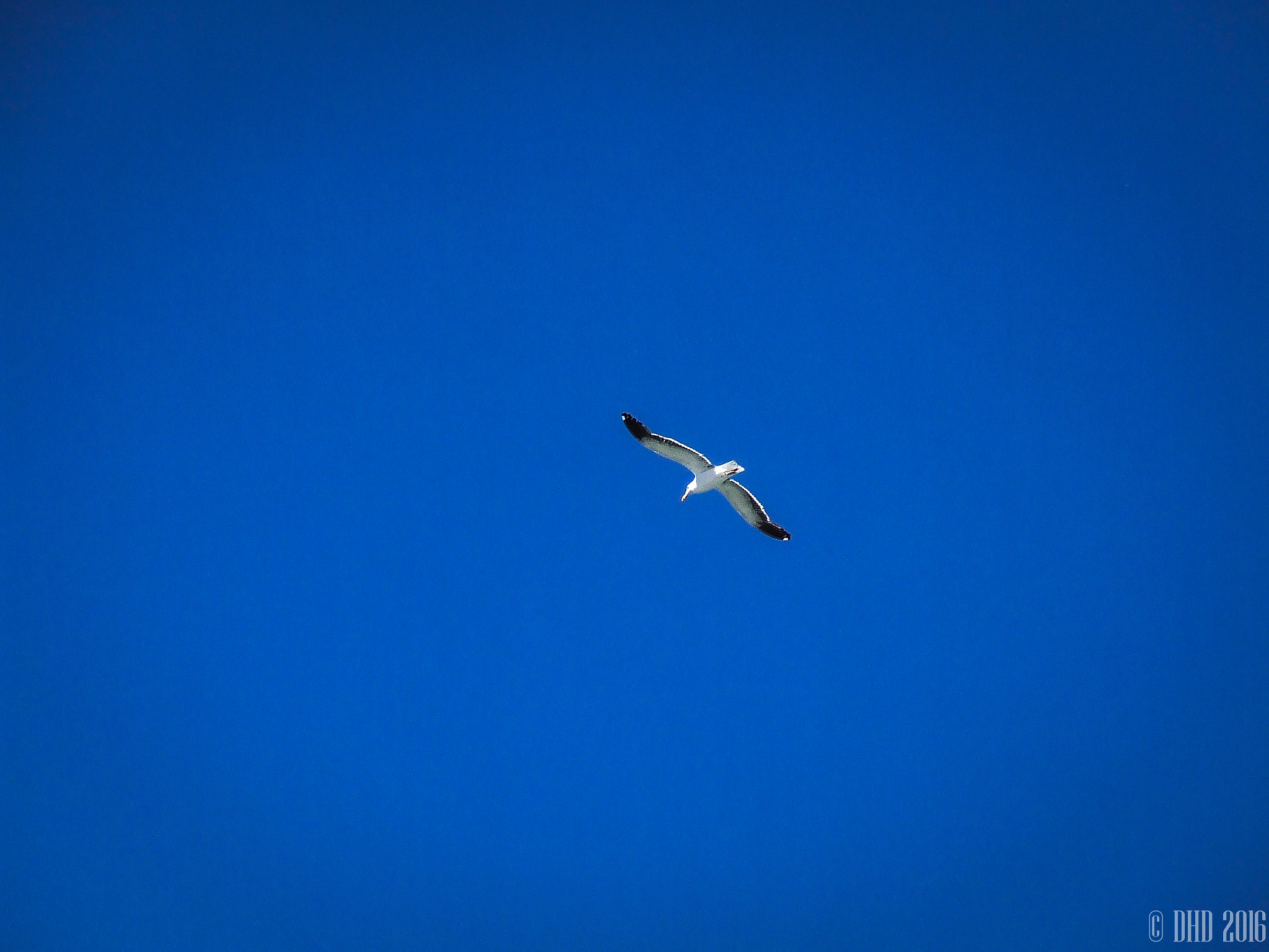 Fujifilm FinePix S5200 sample photo. Solo, por un rato. photography