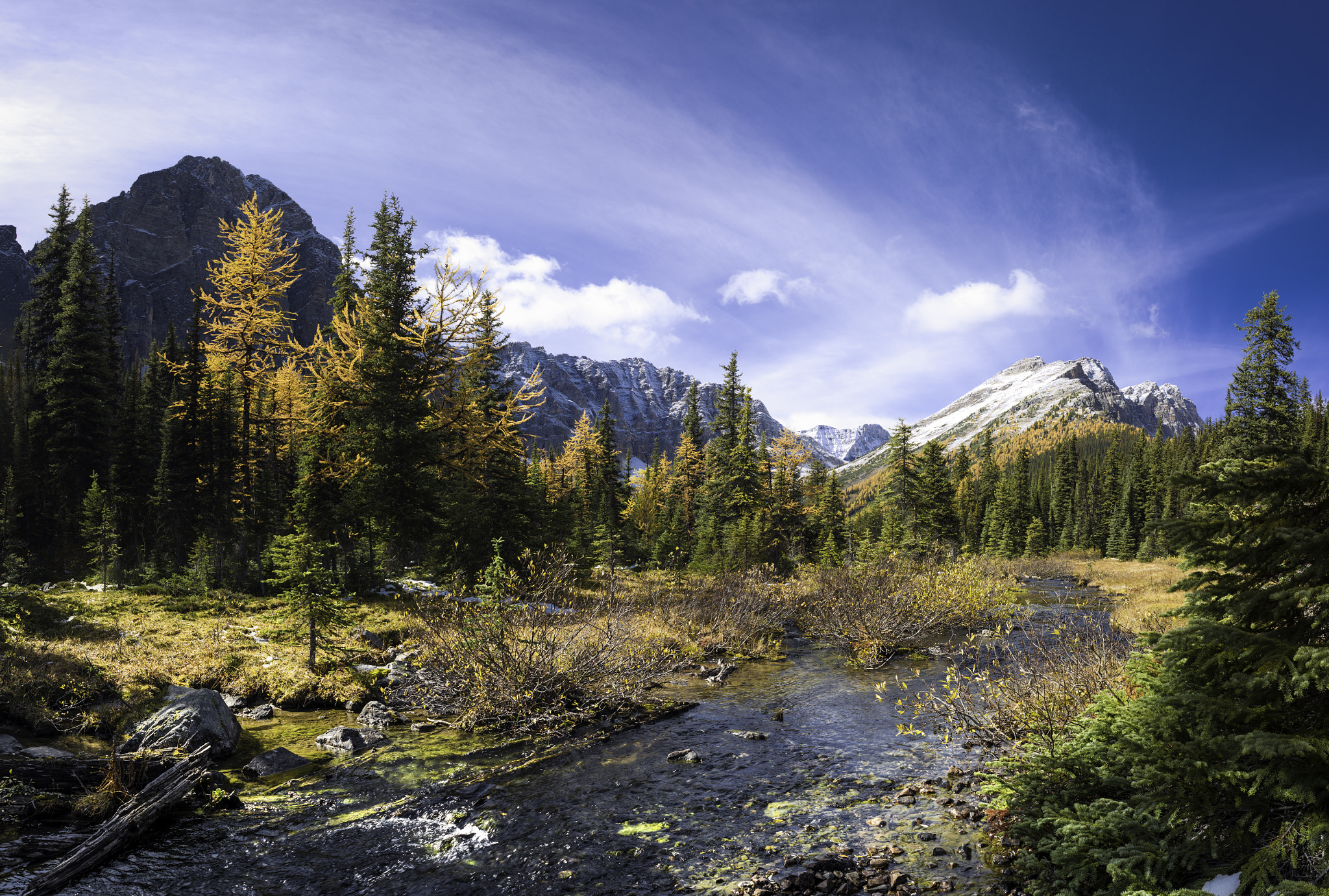 Nikon D750 + AF Zoom-Nikkor 28-85mm f/3.5-4.5 sample photo. Taylor lake larches, banff national park photography