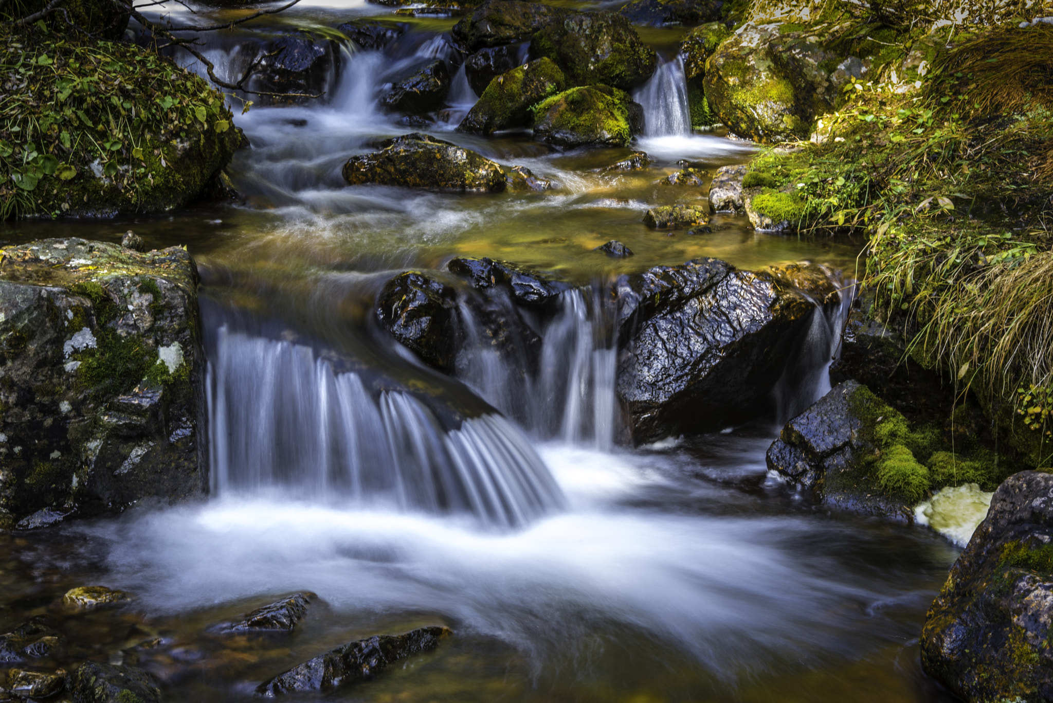 AF Zoom-Nikkor 28-85mm f/3.5-4.5 sample photo. Taylor creek cascade, banff national park photography