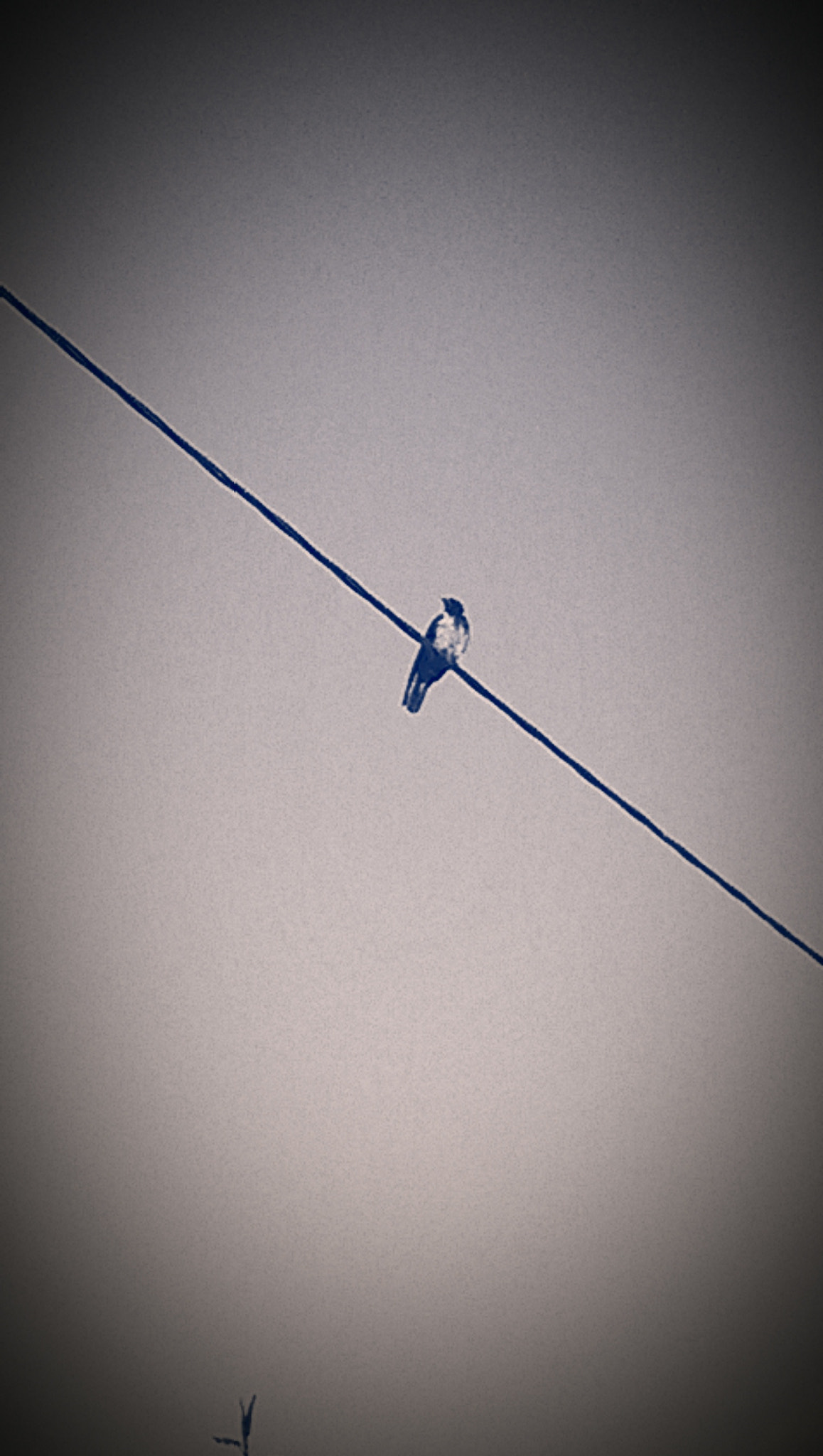 HTC ONE DUAL SIM sample photo