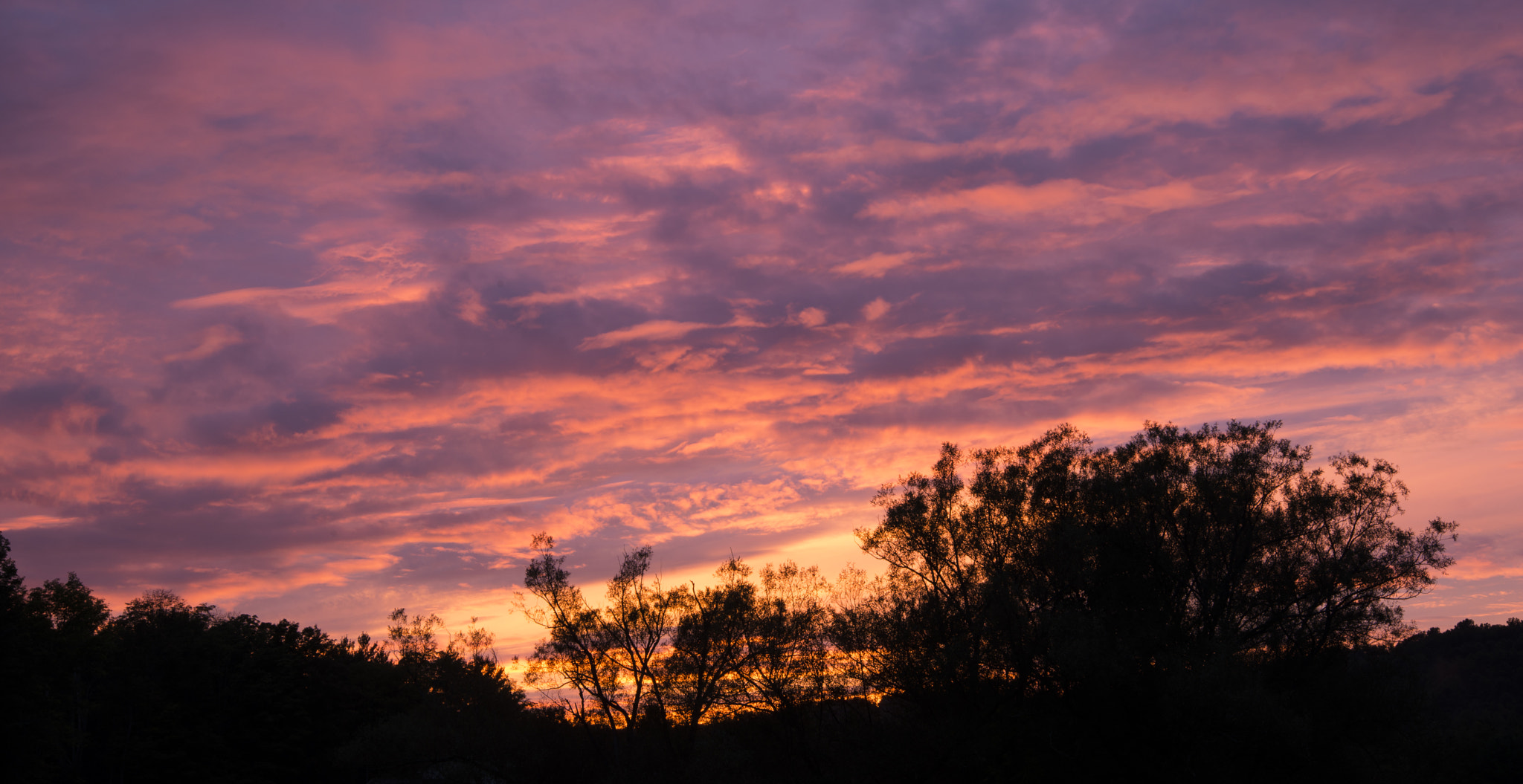 Nikon AF Nikkor 24-85mm F2.8-4D IF sample photo. Sweetsunset photography