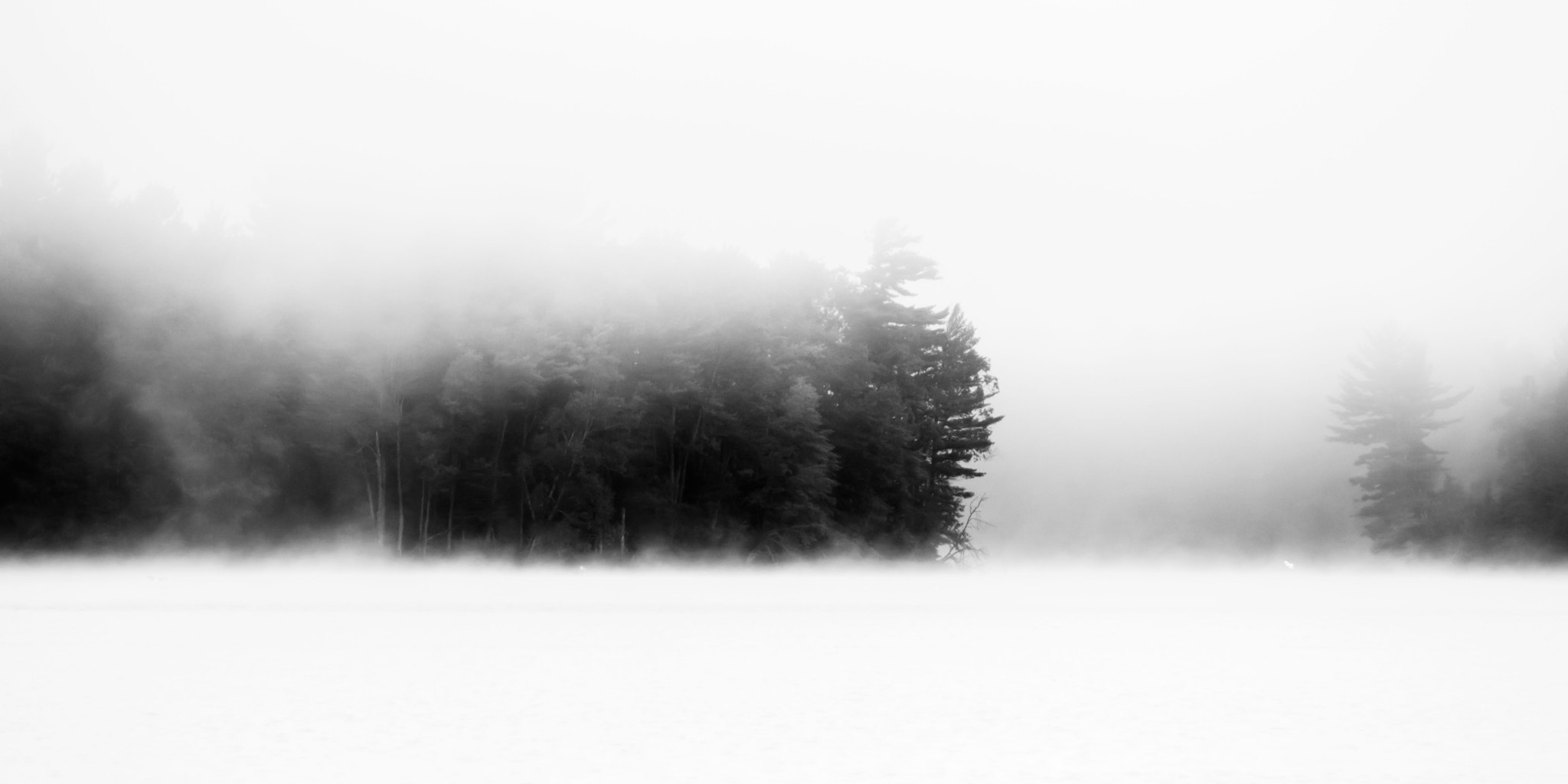 Sony 75-300mm F4.5-5.6 sample photo. Misty morning photography