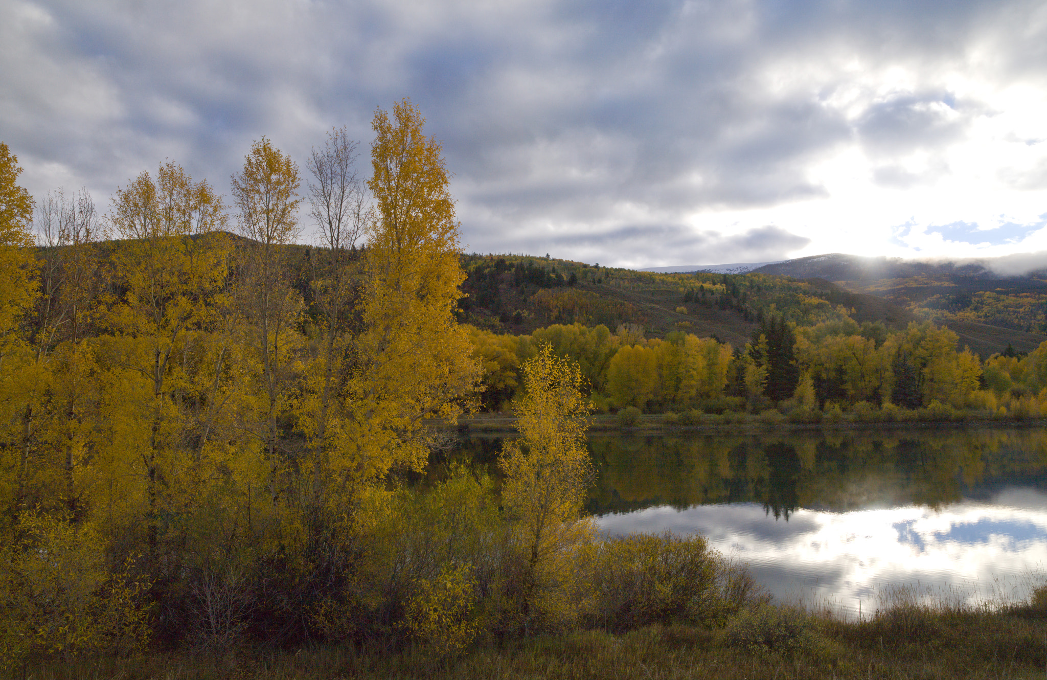 Hasselblad H5D-50 + HCD 28 sample photo. Fall colors in colorado photography