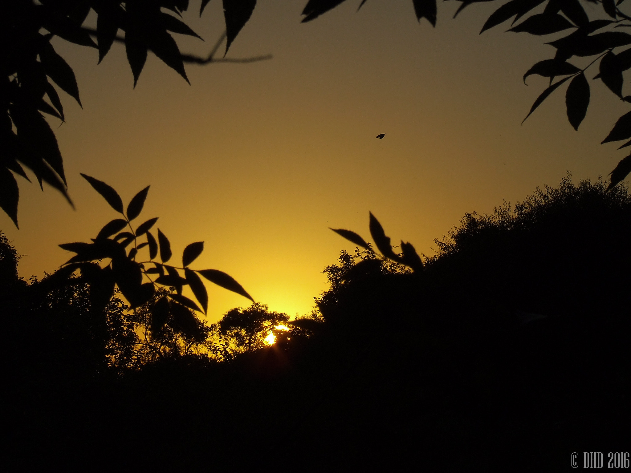 Fujifilm FinePix S5200 sample photo. Amanecer de alguna mañana photography