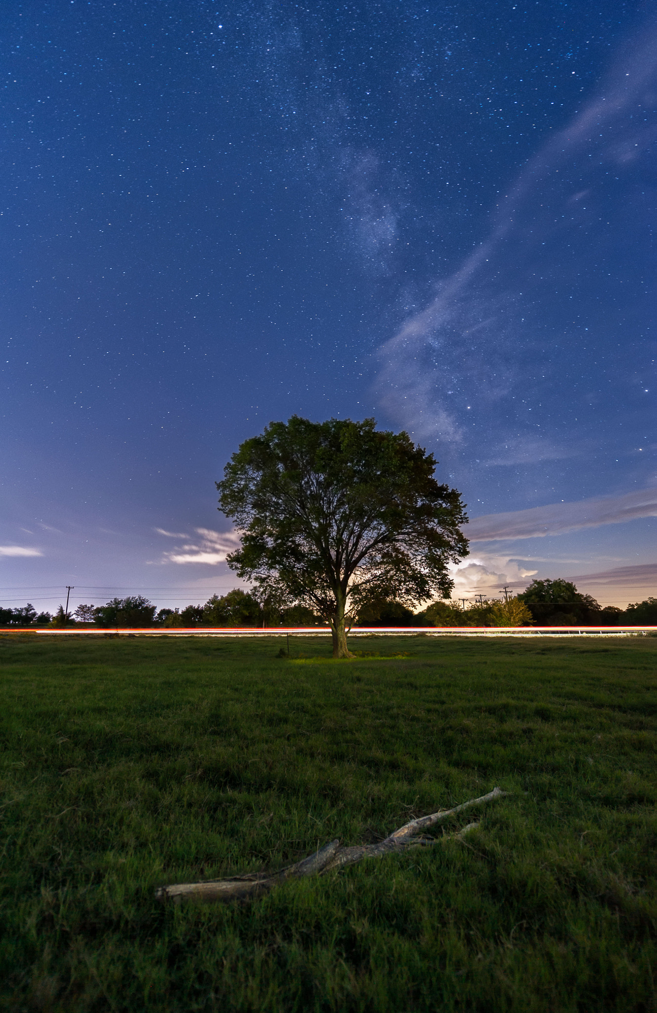 Nikon D3 sample photo. Tree photography