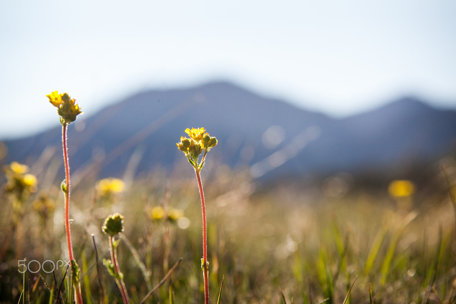 Canon EF 28-300mm F3.5-5.6L IS USM sample photo. Beauty in the valley photography