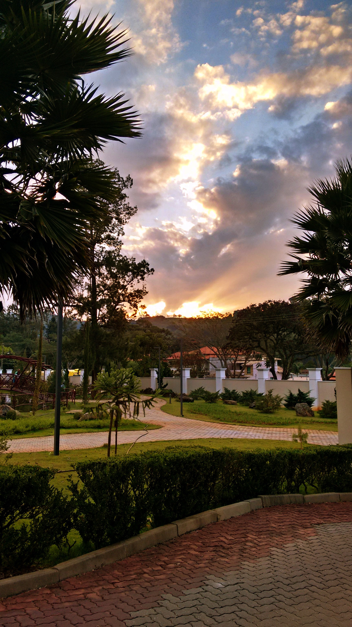 Motorola Moto G with 4G LTE (2nd Gen) sample photo. Hdr () photography