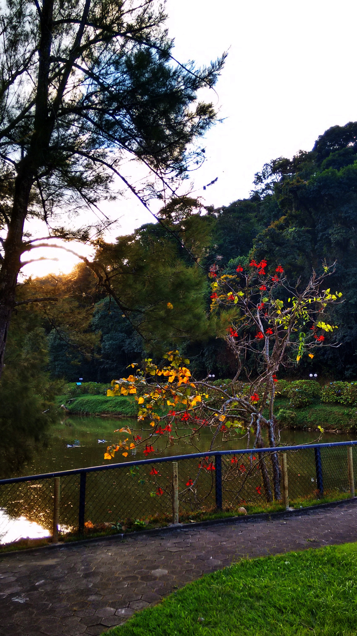 Motorola Moto G with 4G LTE (2nd Gen) sample photo. Hdr () photography