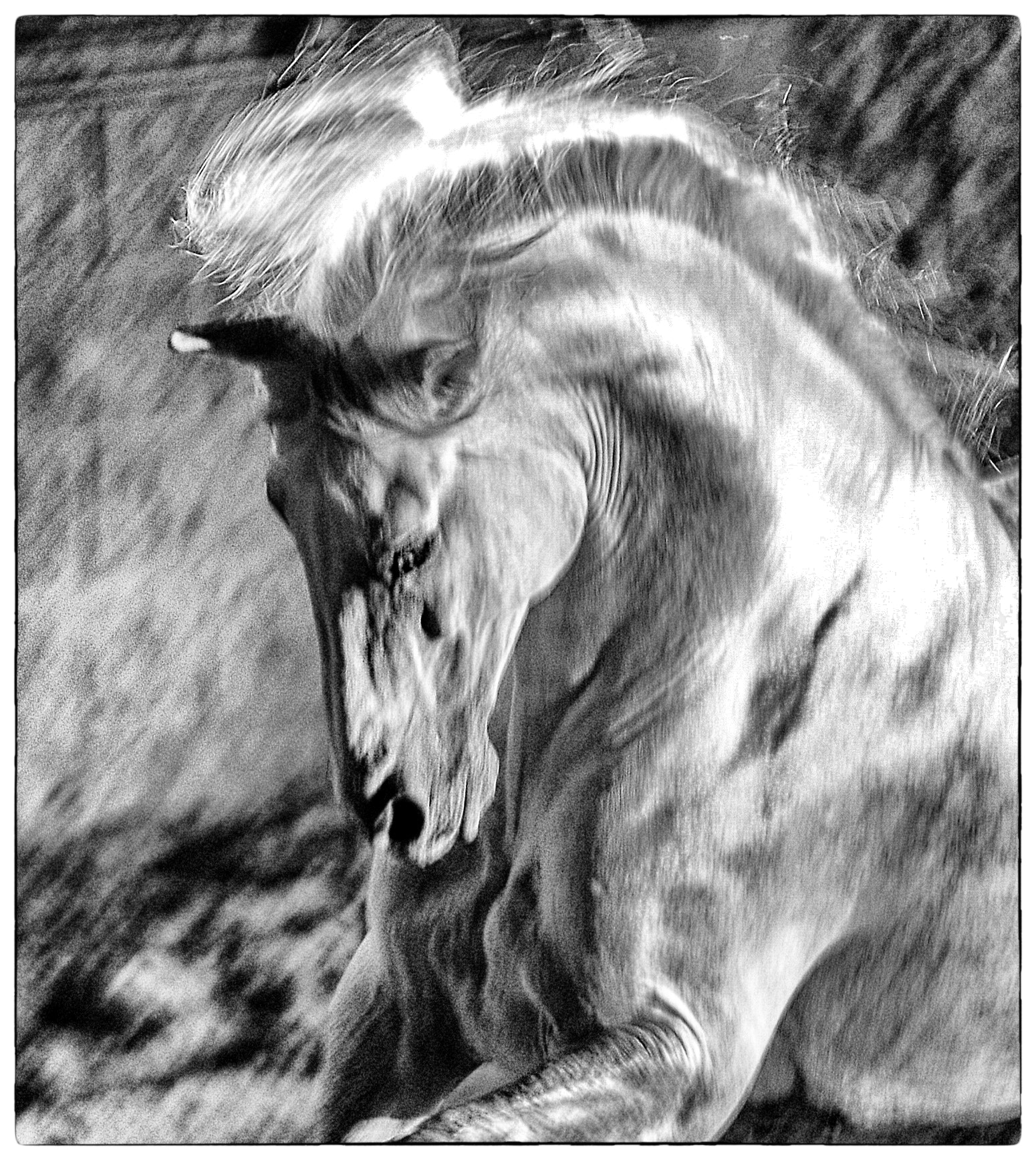 Nikon D600 sample photo. Spirit in motion photography