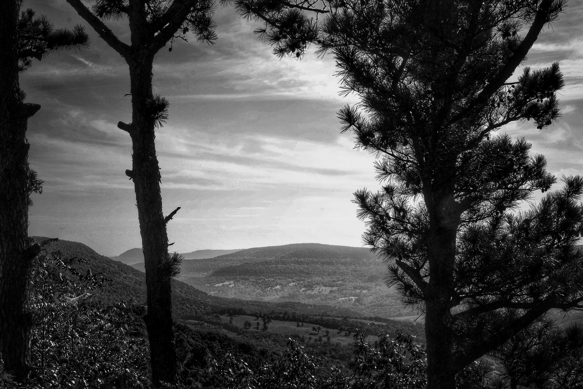 Canon EOS 1000D (EOS Digital Rebel XS / EOS Kiss F) sample photo. Ozark mountains late morning photography