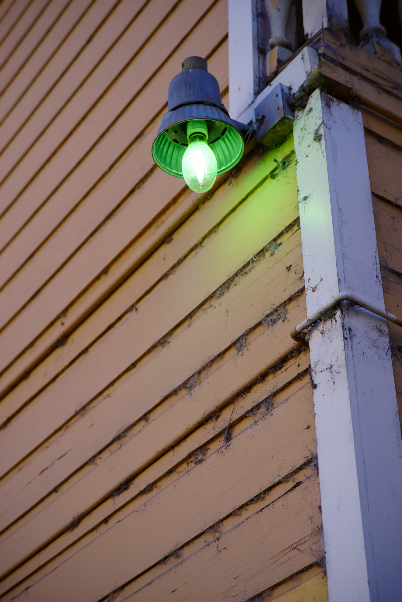 Pentax K-1 sample photo. Green light photography