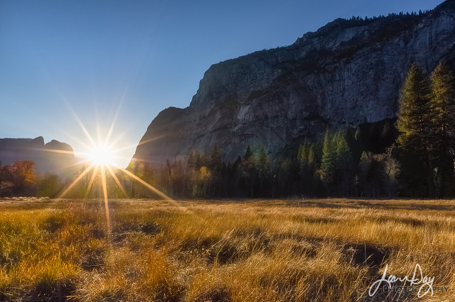 Pentax smc DA 15mm F4 ED AL Limited sample photo. Sentinel meadow and sunstar photography