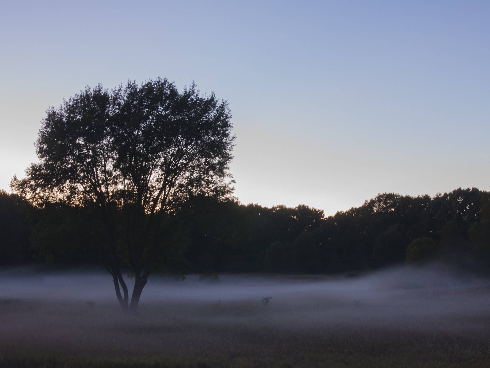 Canon EOS 40D + Sigma 18-50mm f/2.8 Macro sample photo. Fog photography